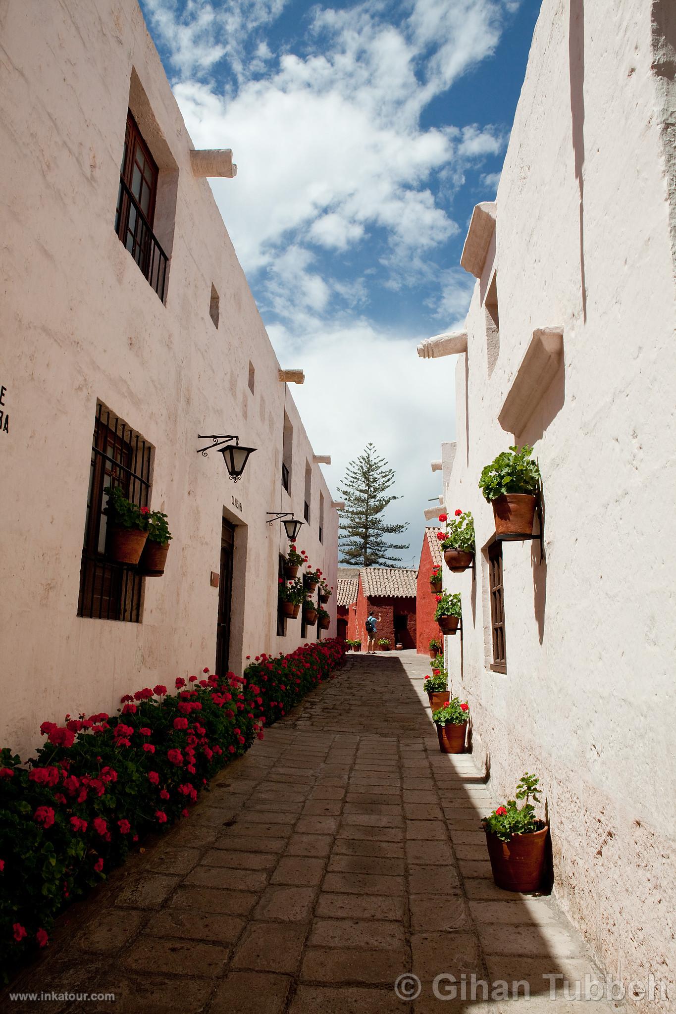 Santa Catalina's convent, Arequipa