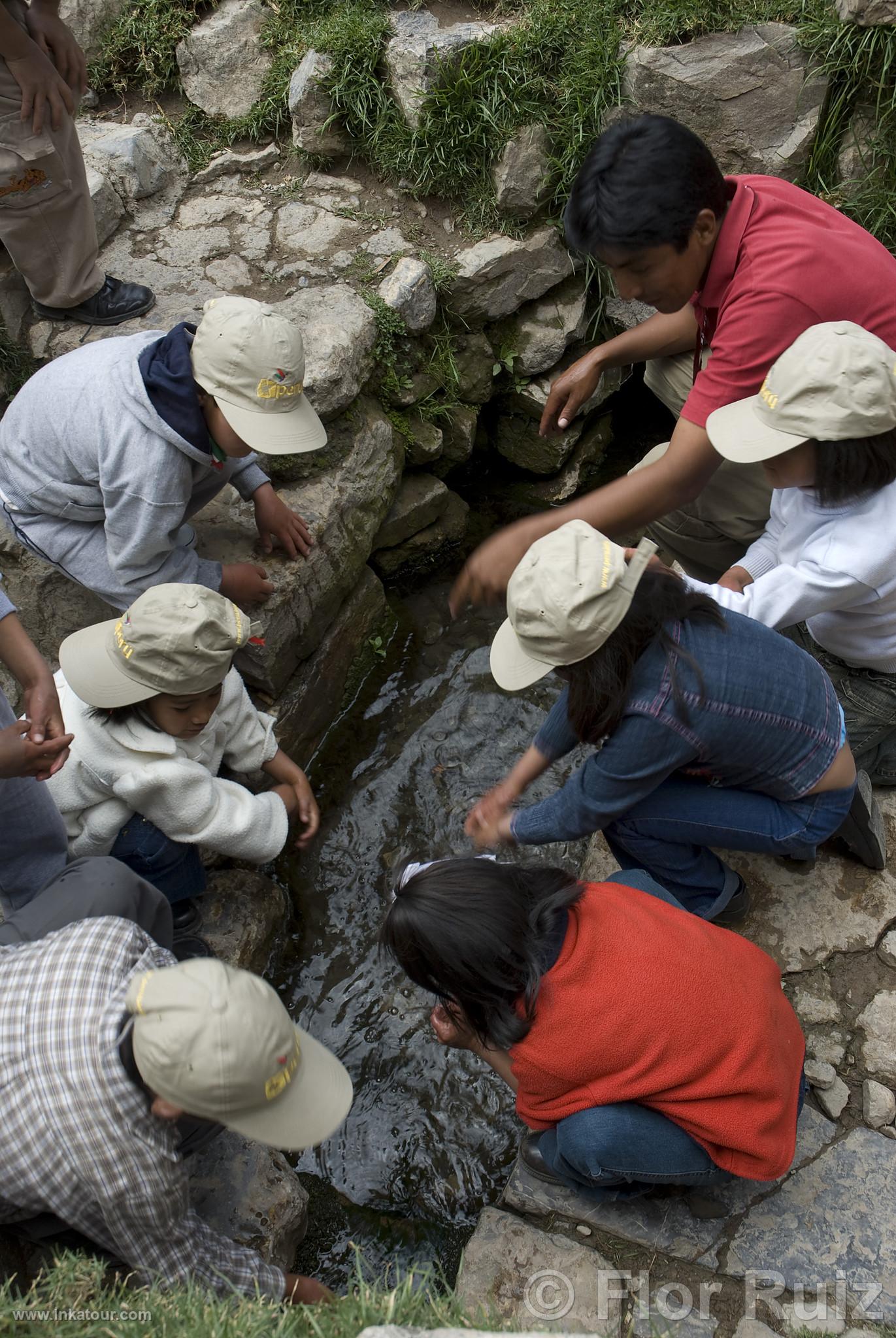 Photo of Peru