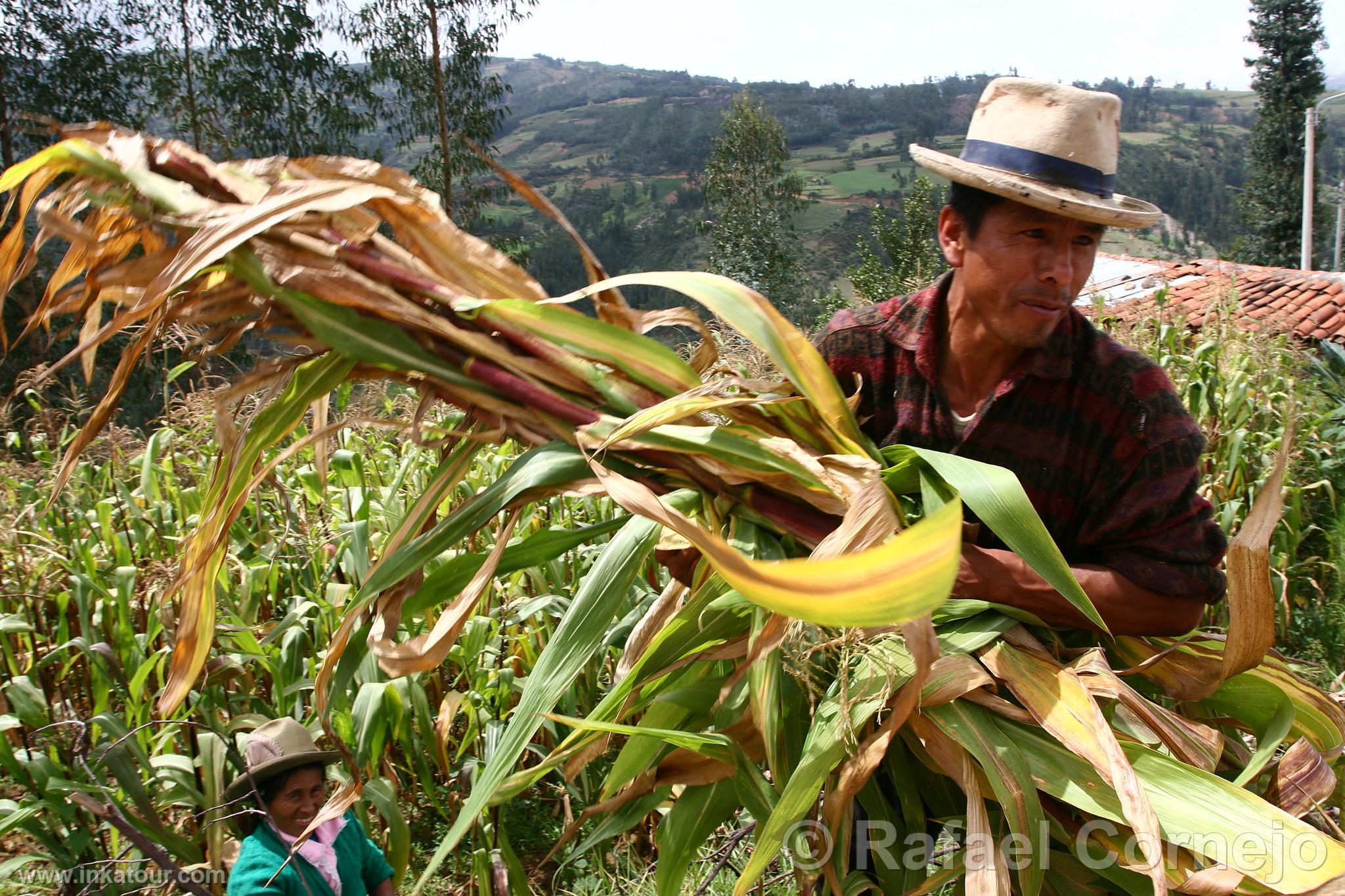 Photo of Peru