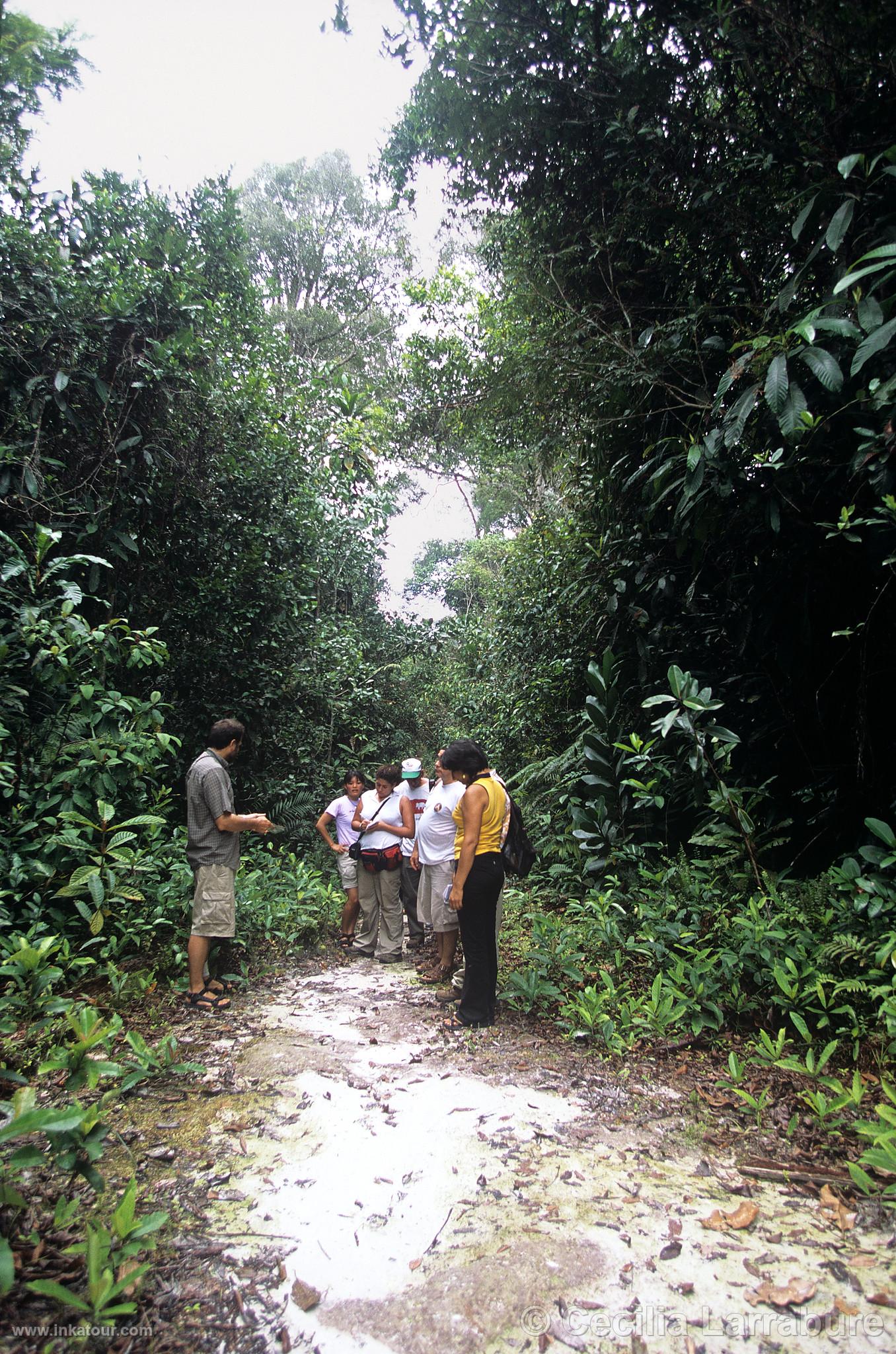 Photo of Peru