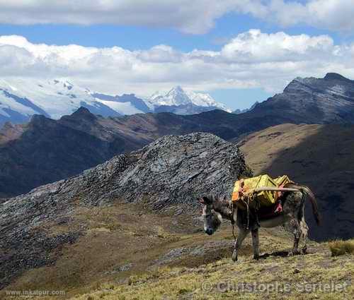 White Cordillera