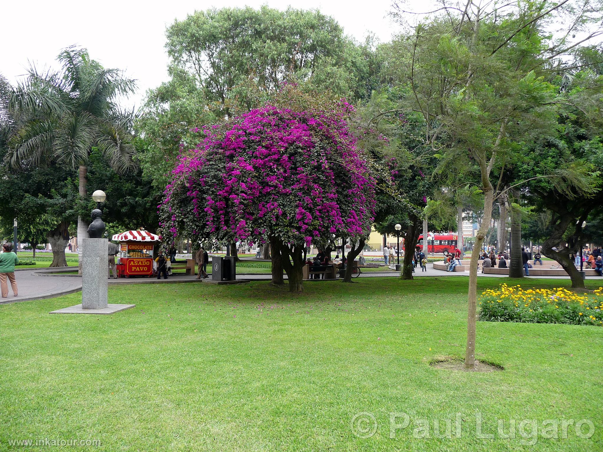 Kennedy Park, Lima