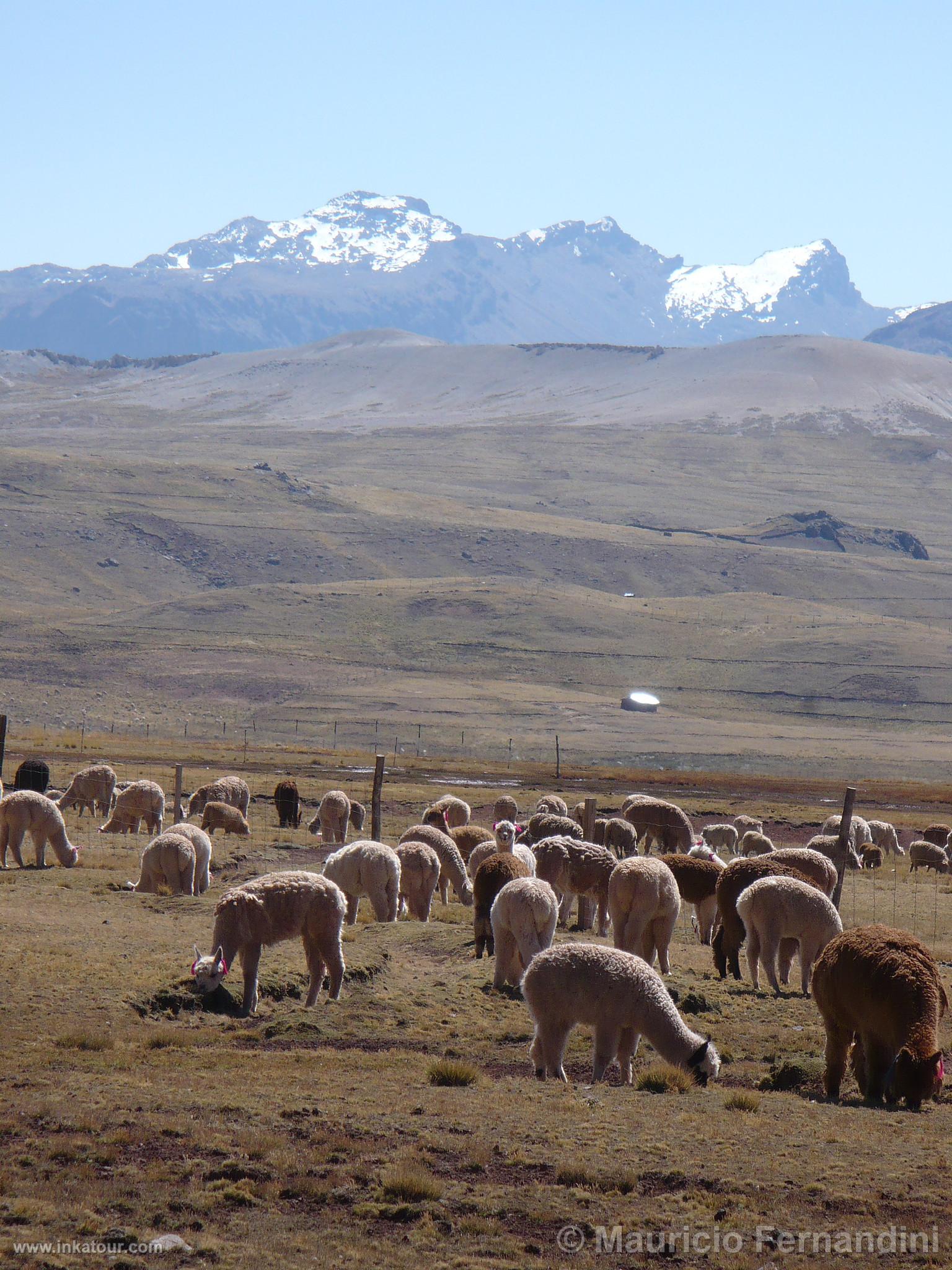 Photo of Peru