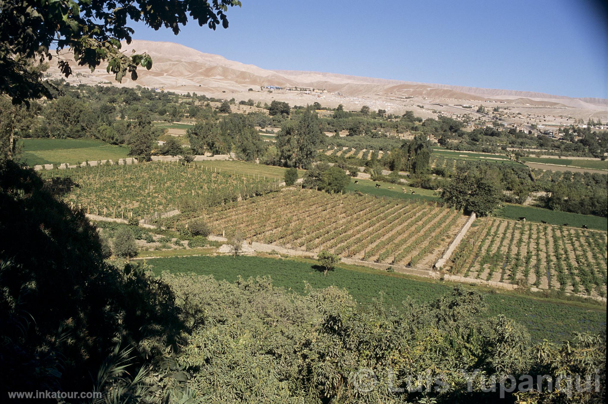 Photo of Peru