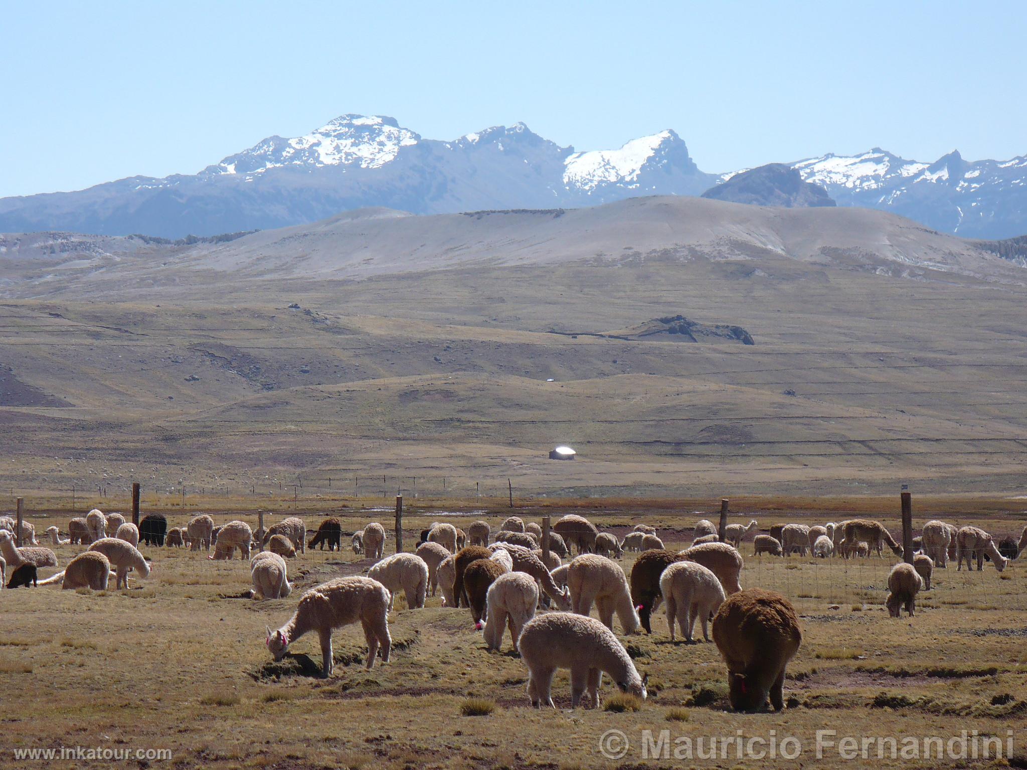 Photo of Peru