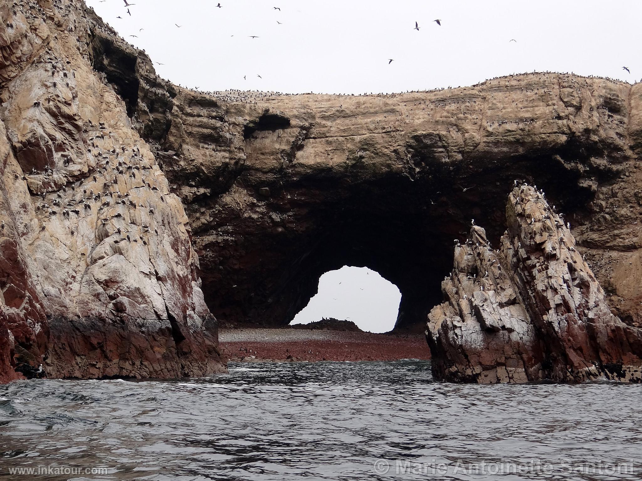 Ballestas Islands, Paracas