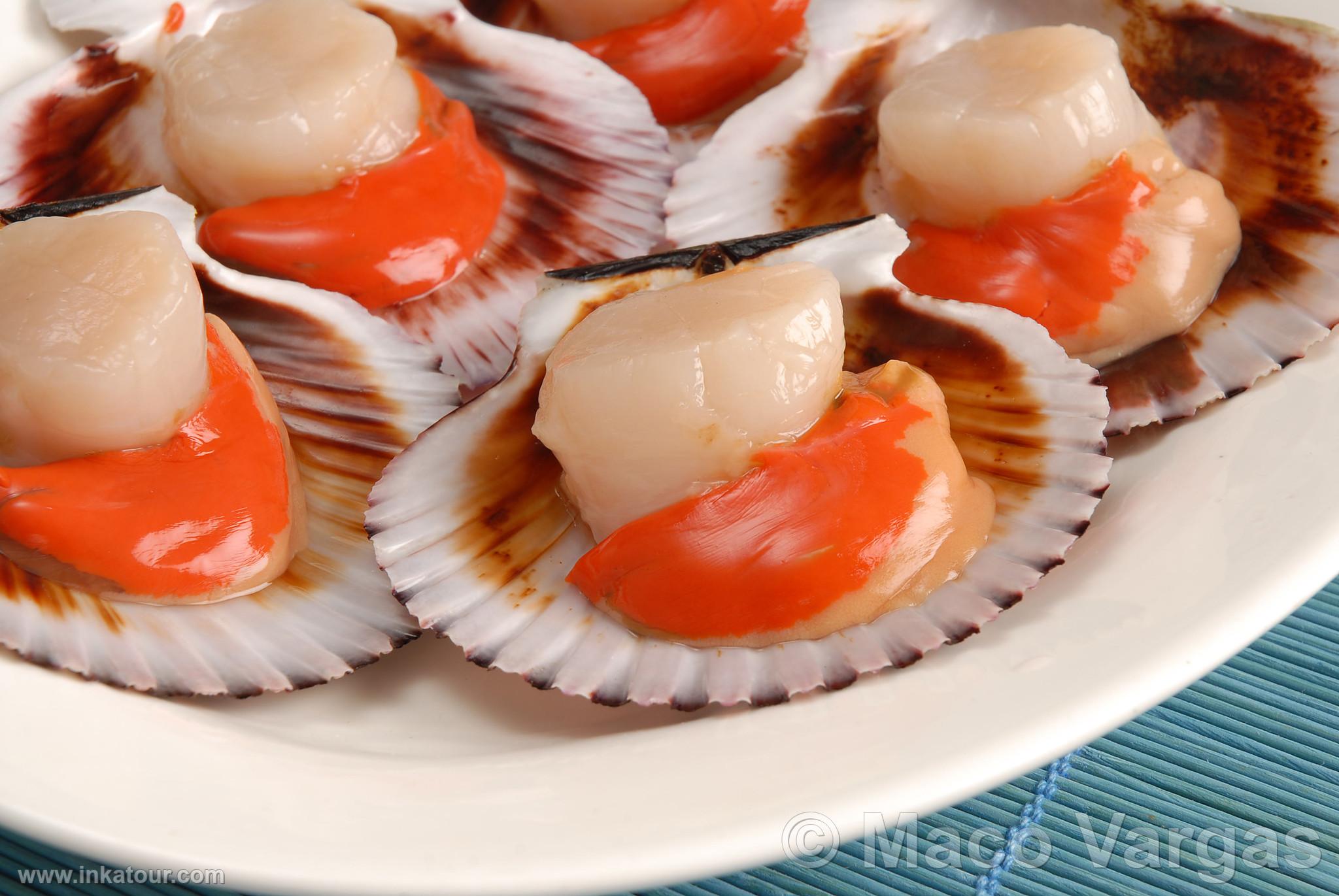 Scallops