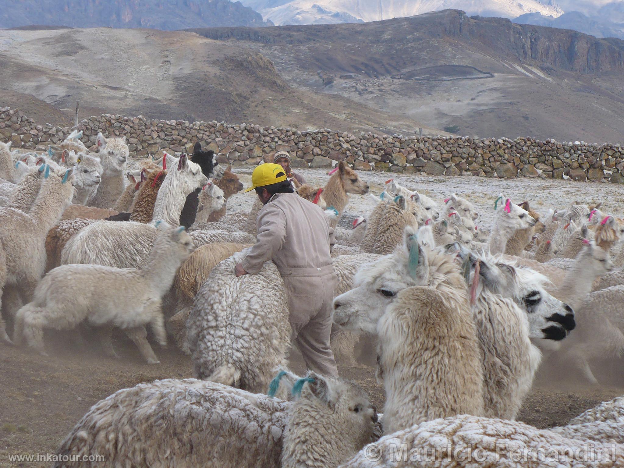 Photo of Peru