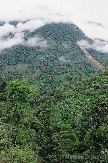 Photo of Peru