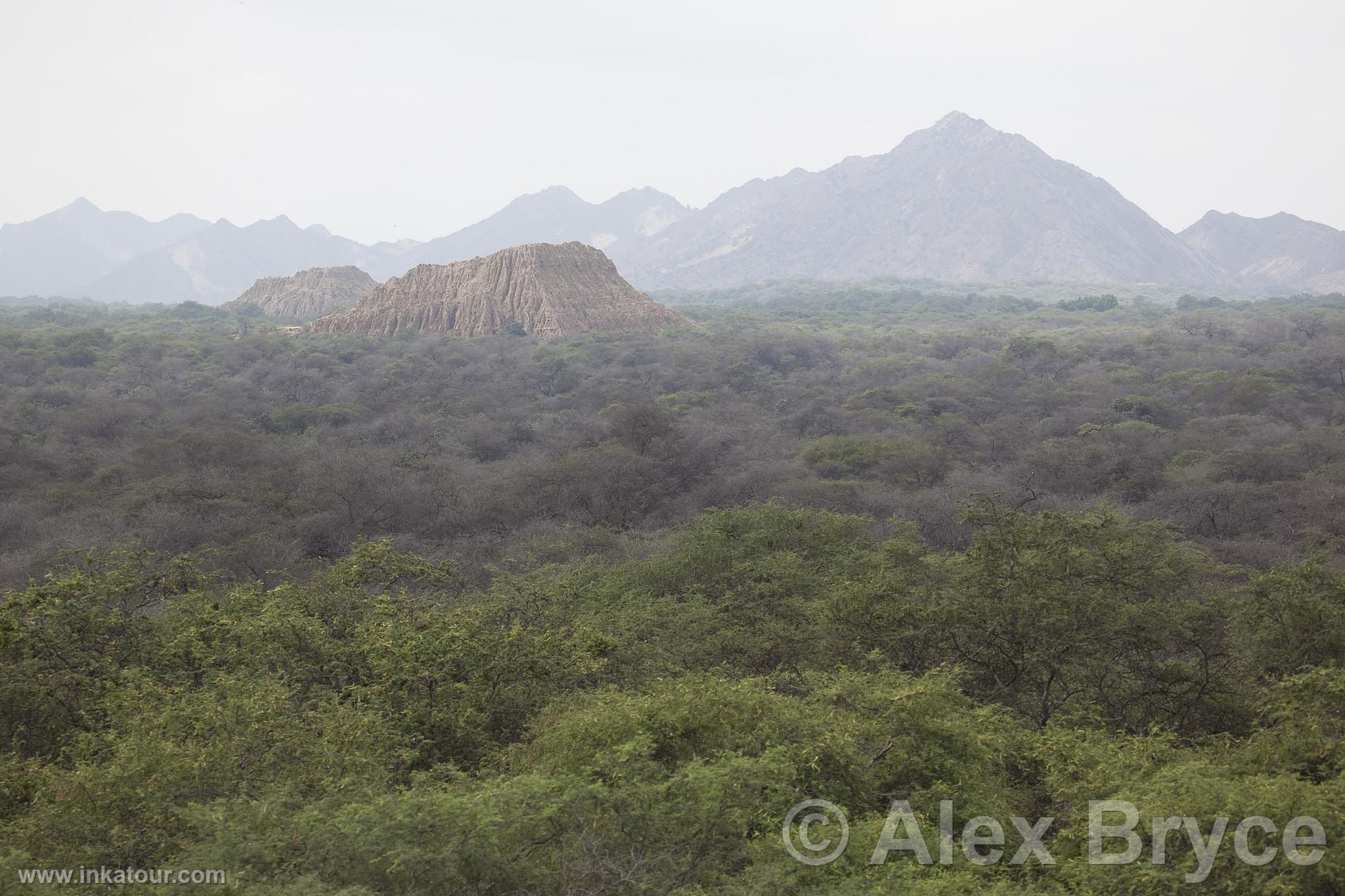 Photo of Peru