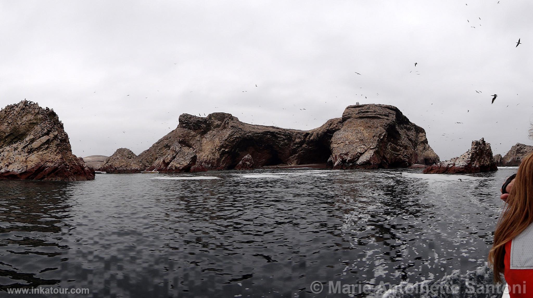 Ballestas, Paracas