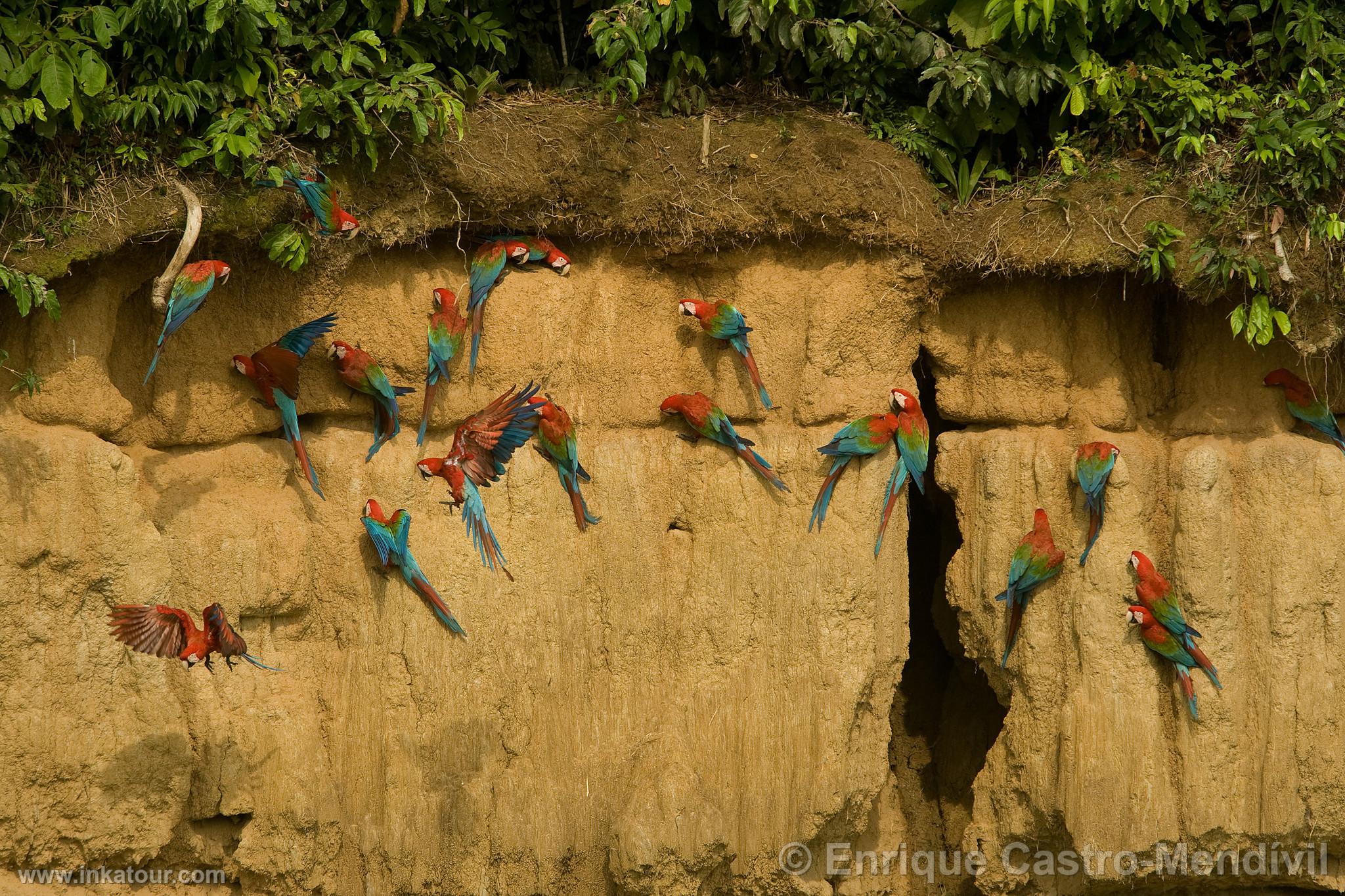 Photo of Peru