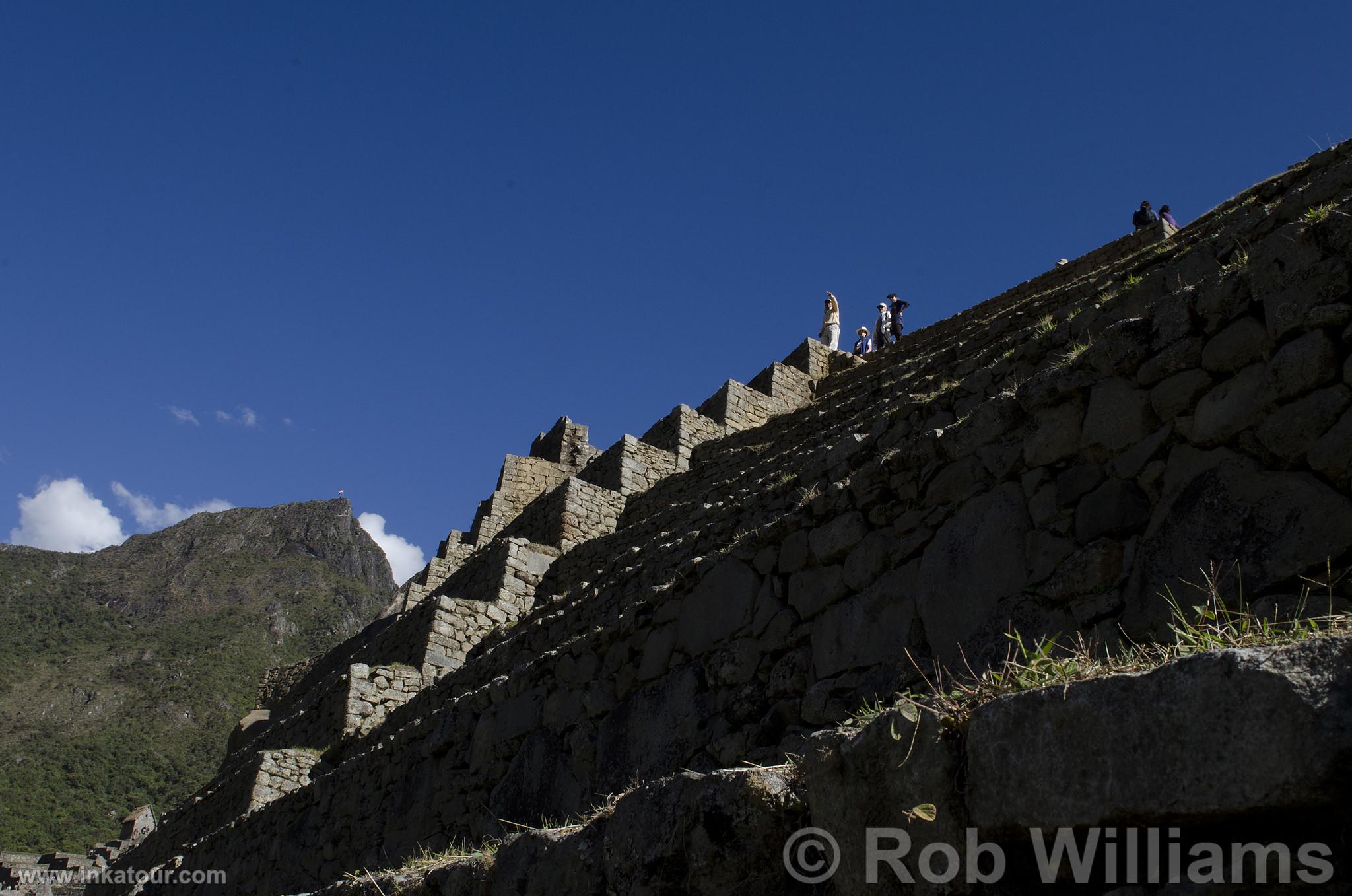 Citadel of Machu Picchu