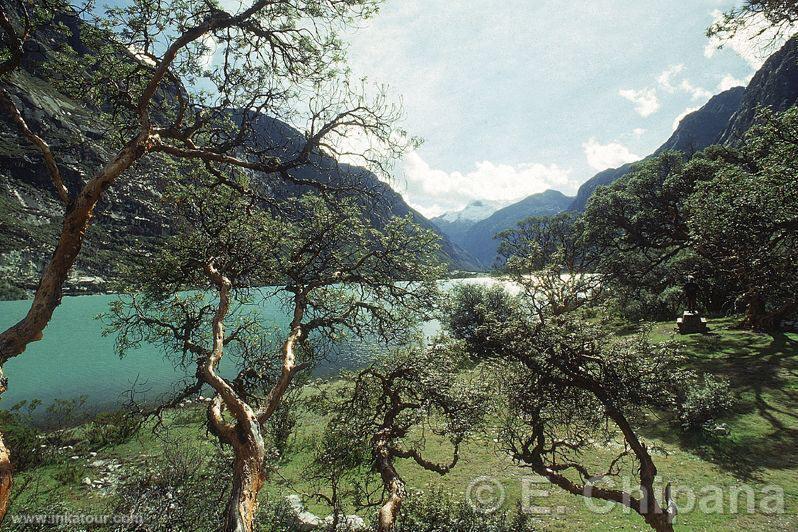 Lagoon of Llanganuco