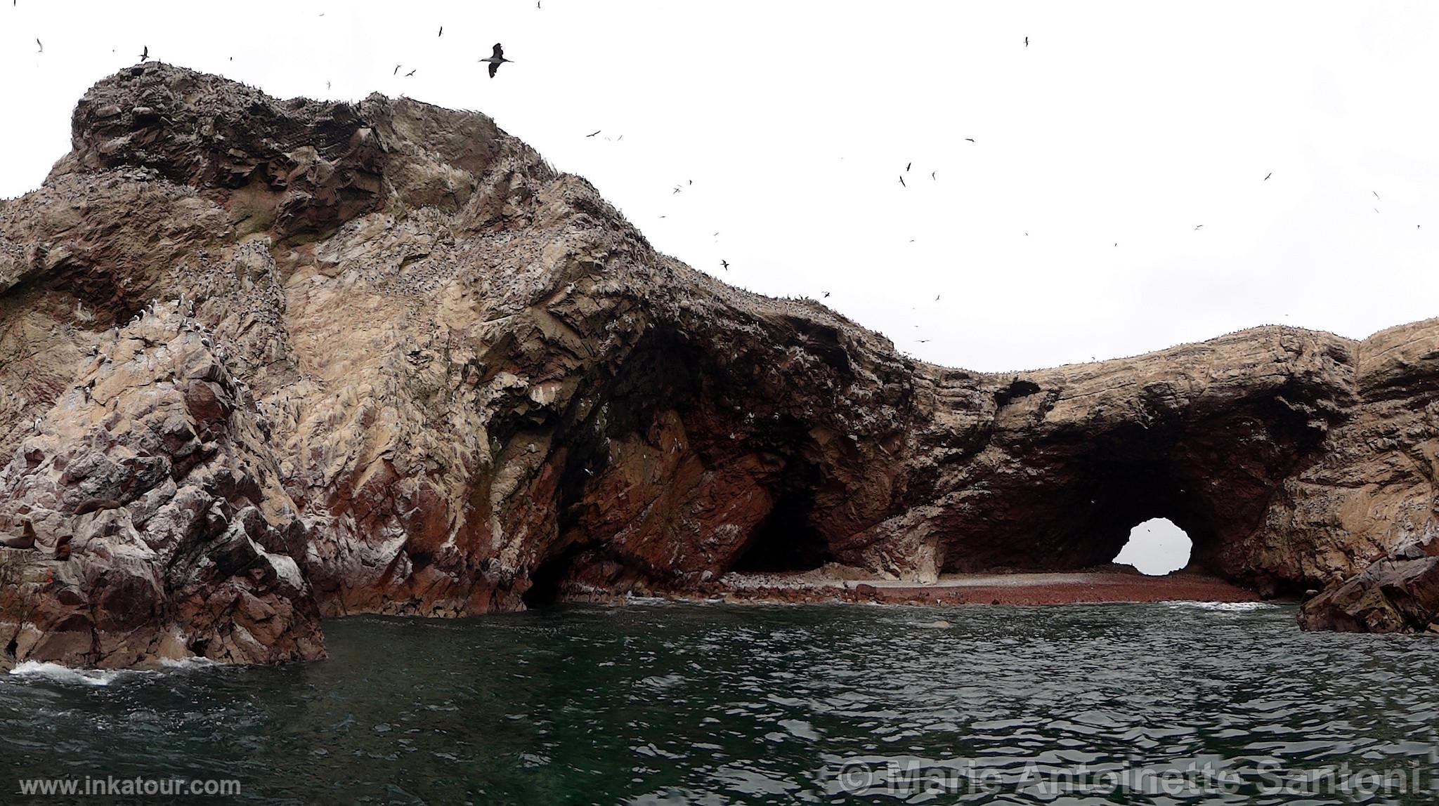 Ballestas, Paracas