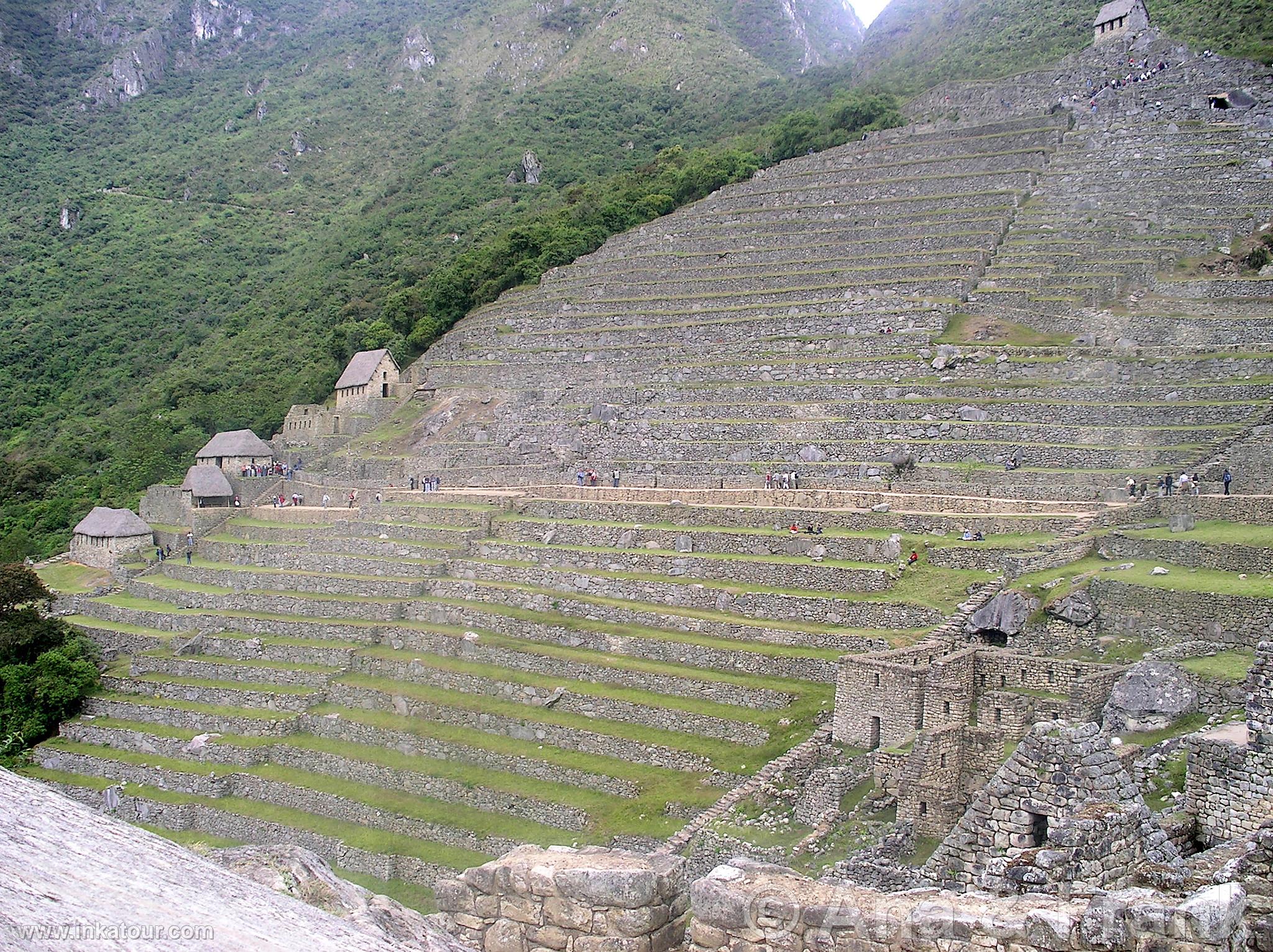 Photo of Peru