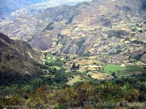 White Cordillera