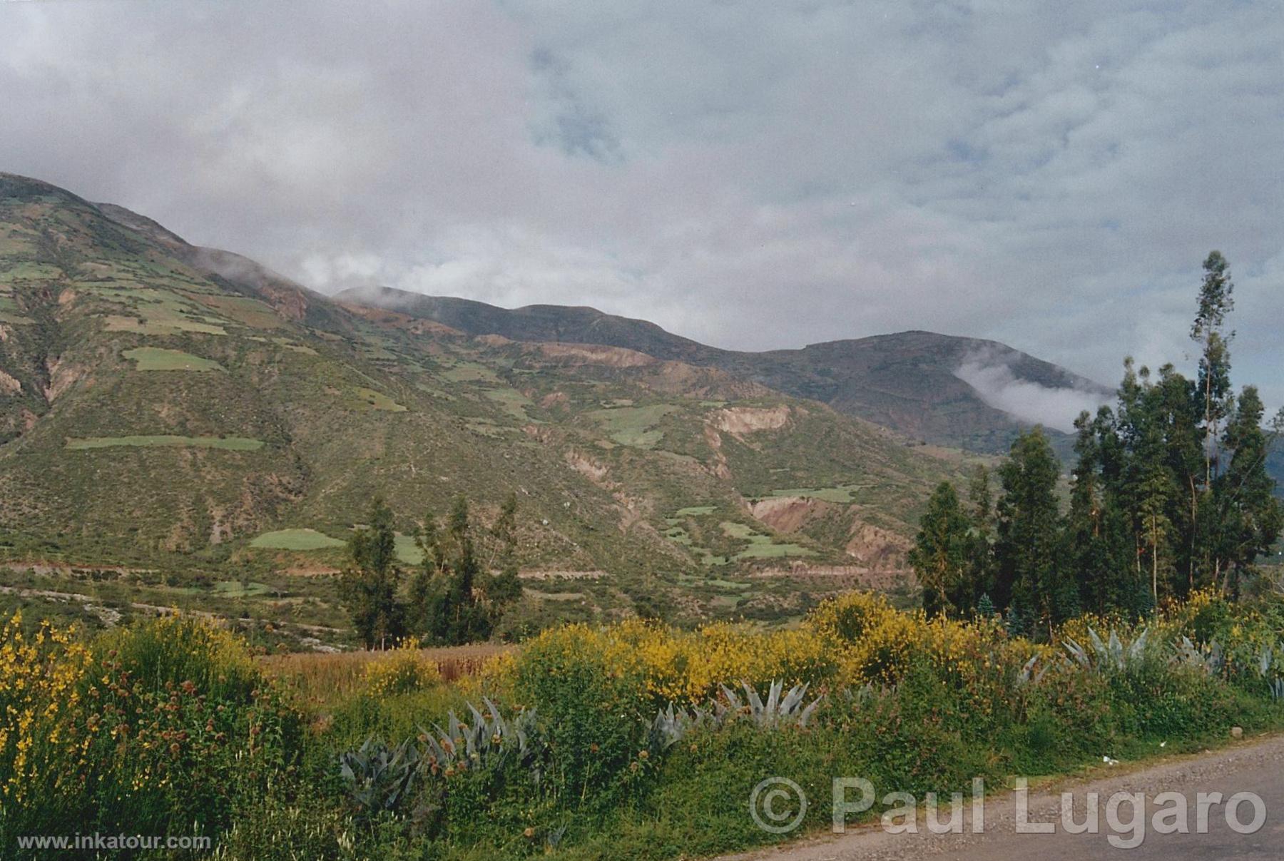 Photo of Peru