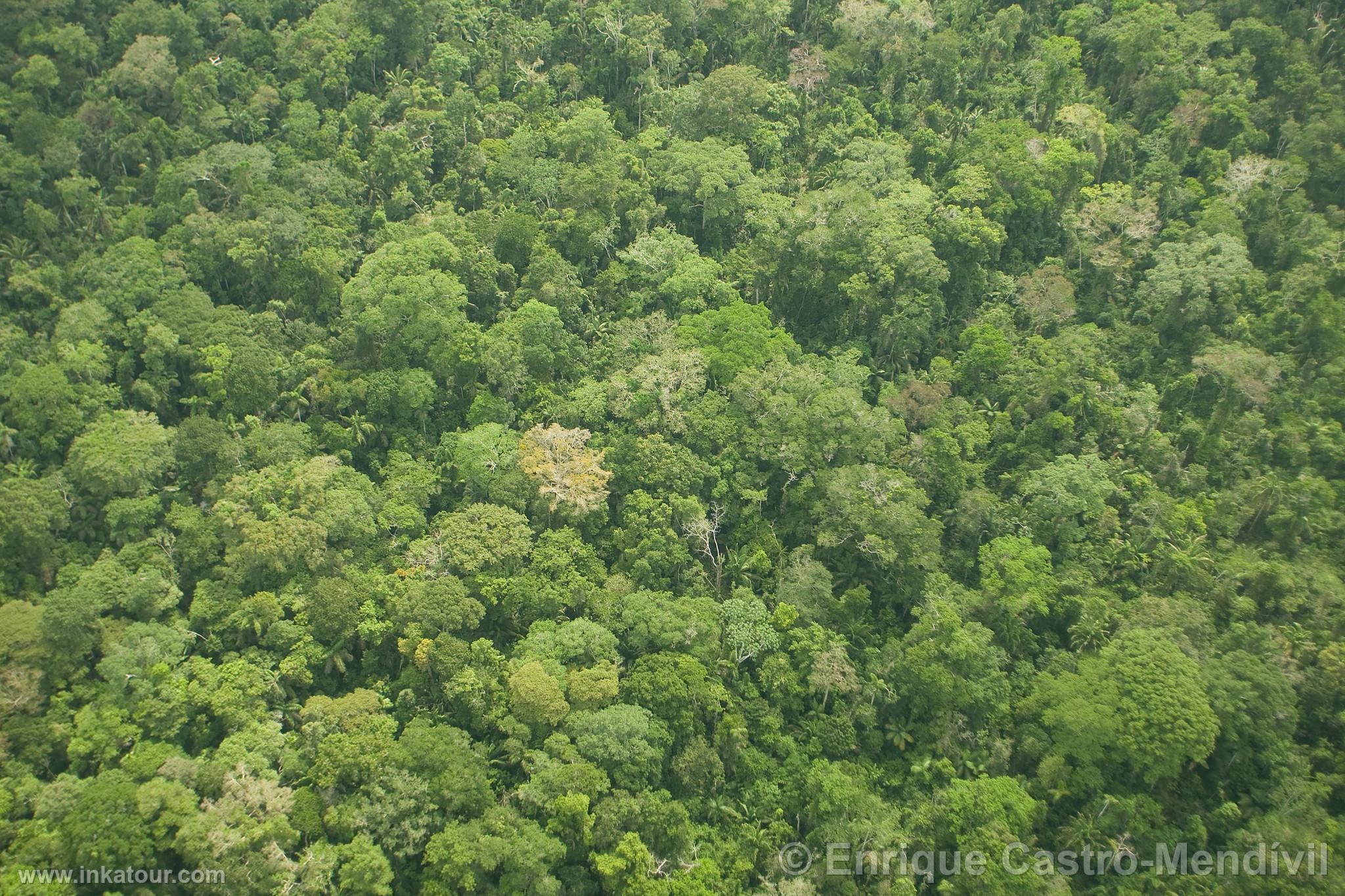 Photo of Peru