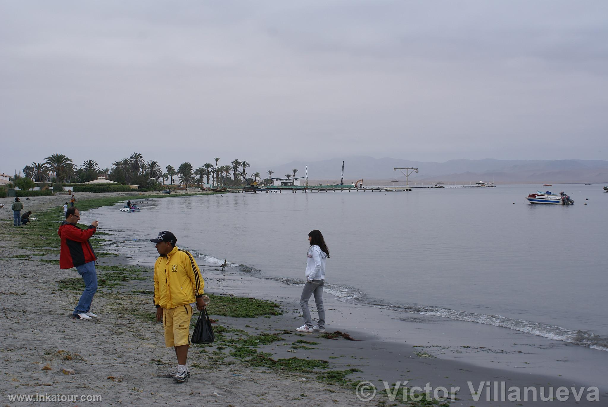 Paracas Bay