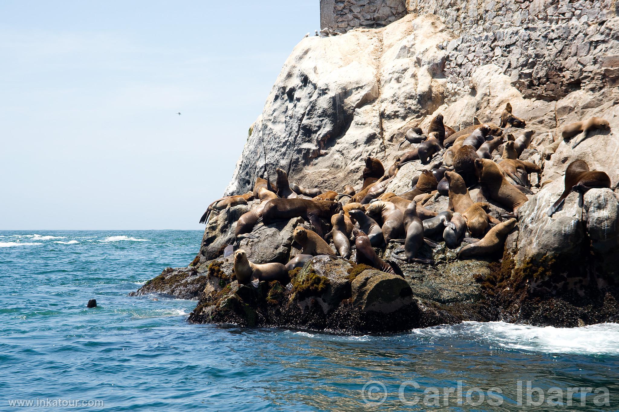 Photo of Peru