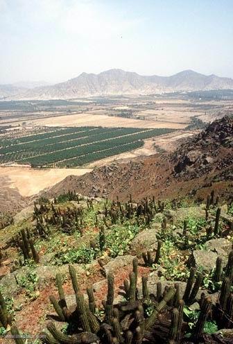 Photo of Peru