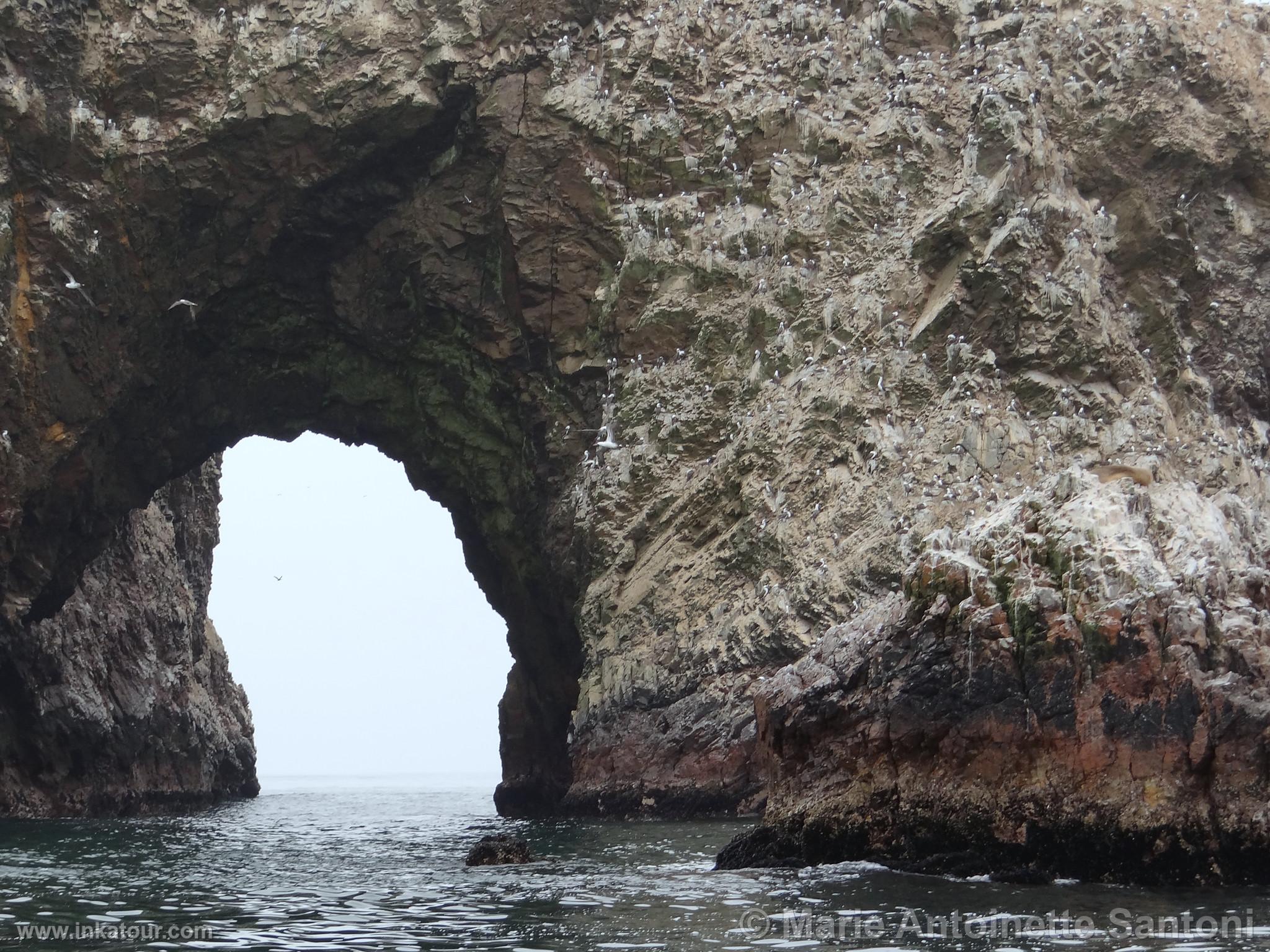 Ballestas, Paracas