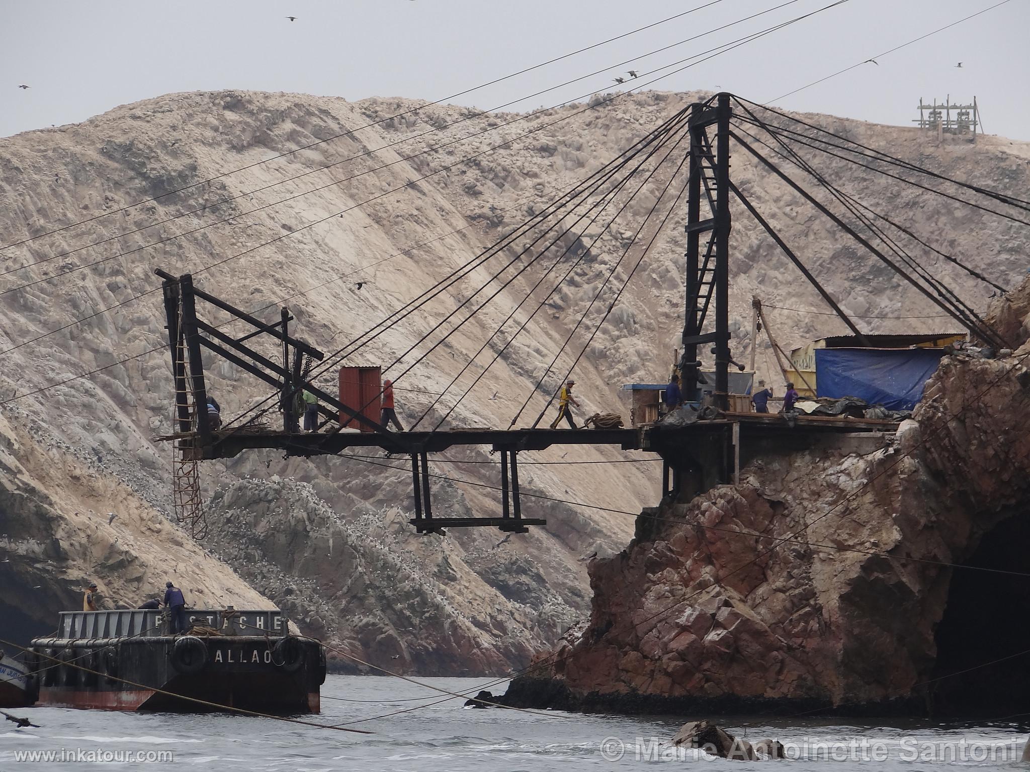 Ballestas, Paracas