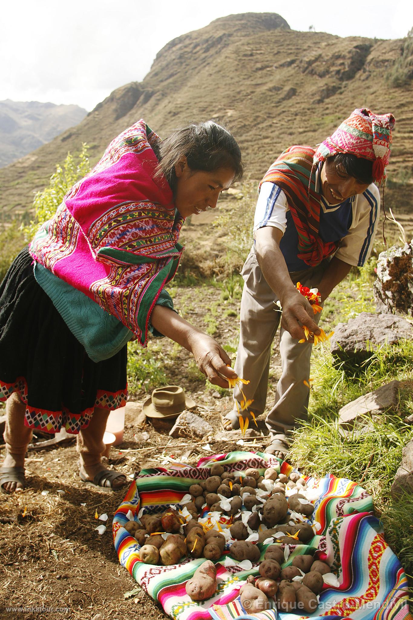 Photo of Peru