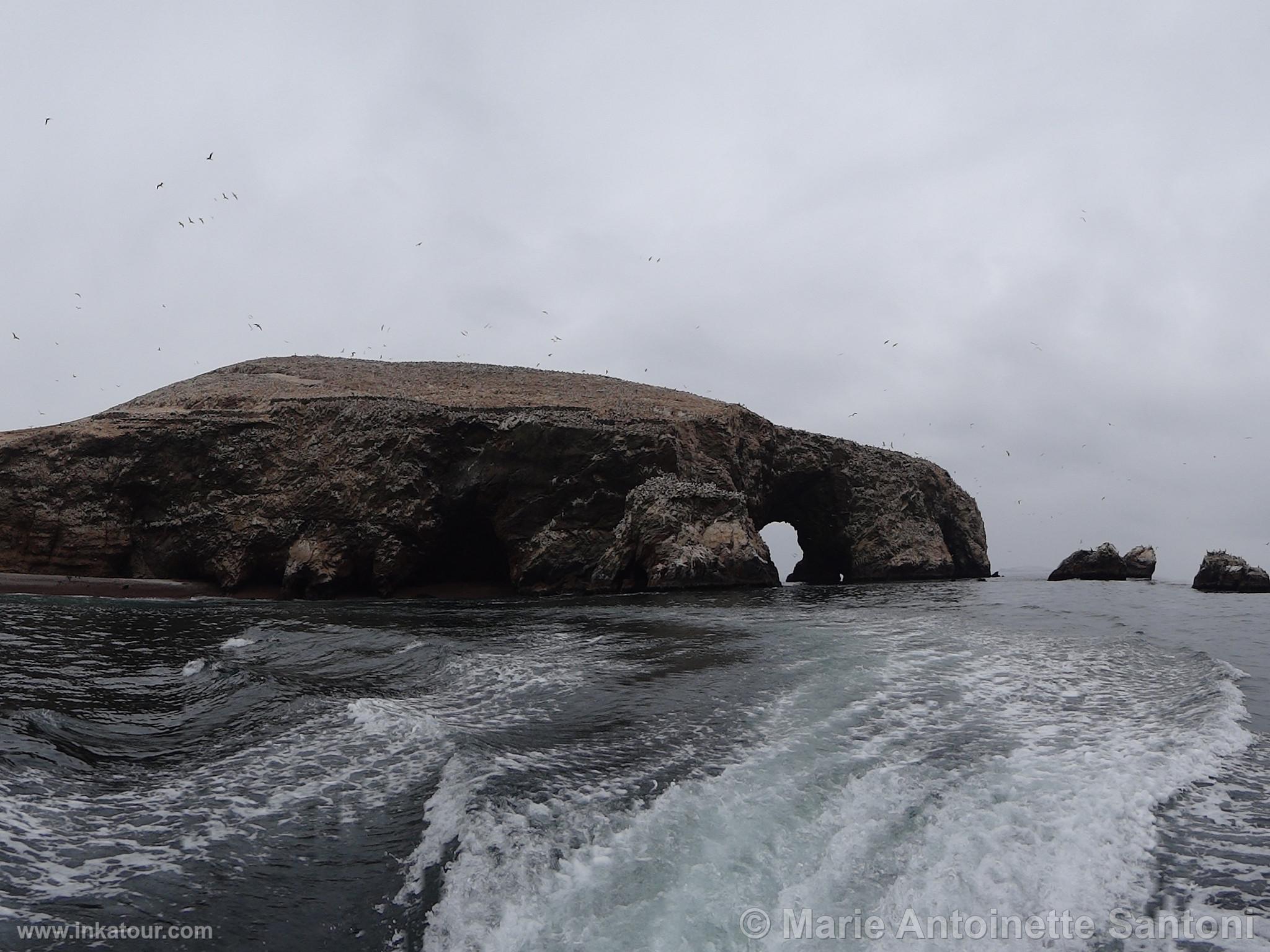 Ballestas, Paracas