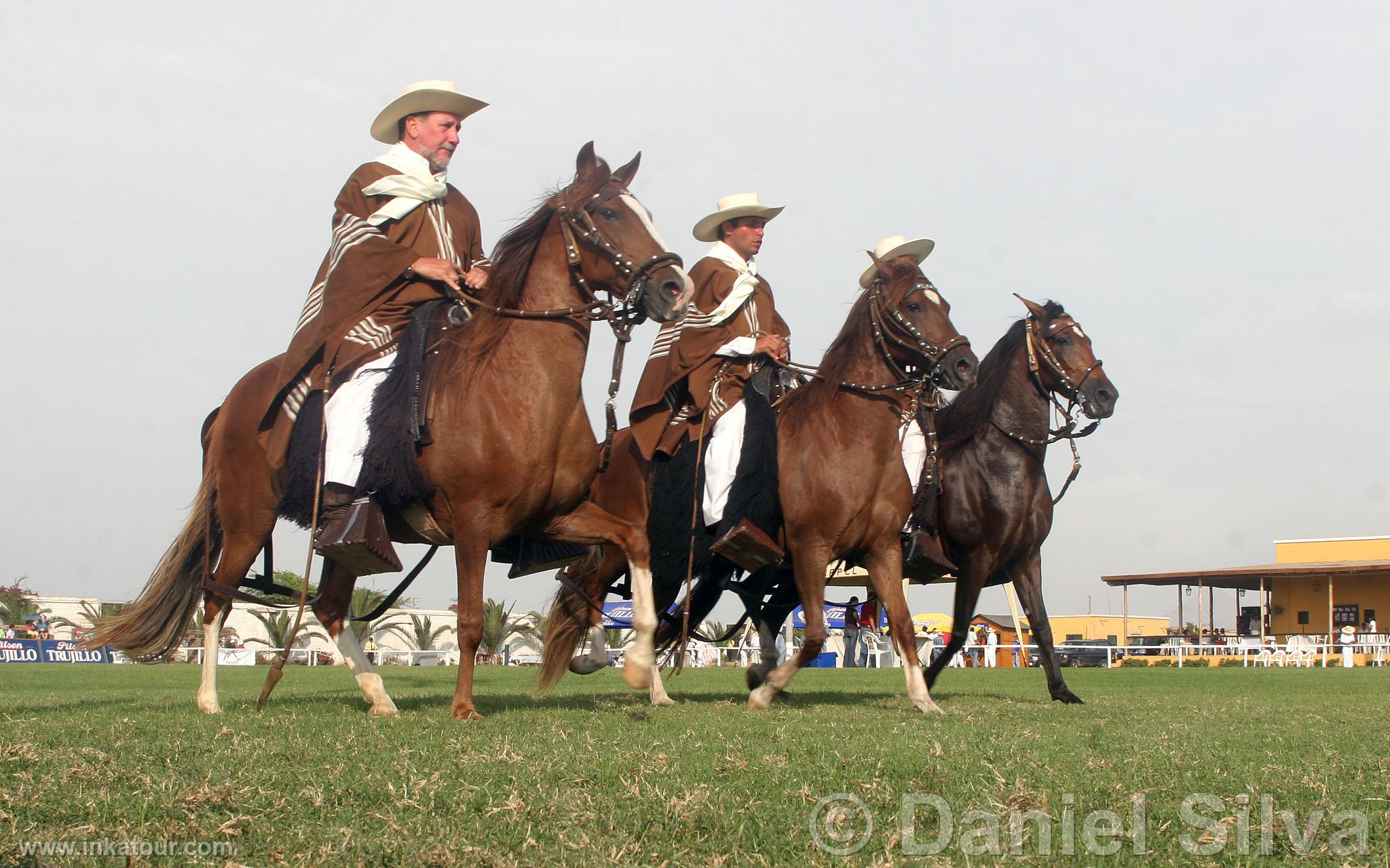 Photo of Peru