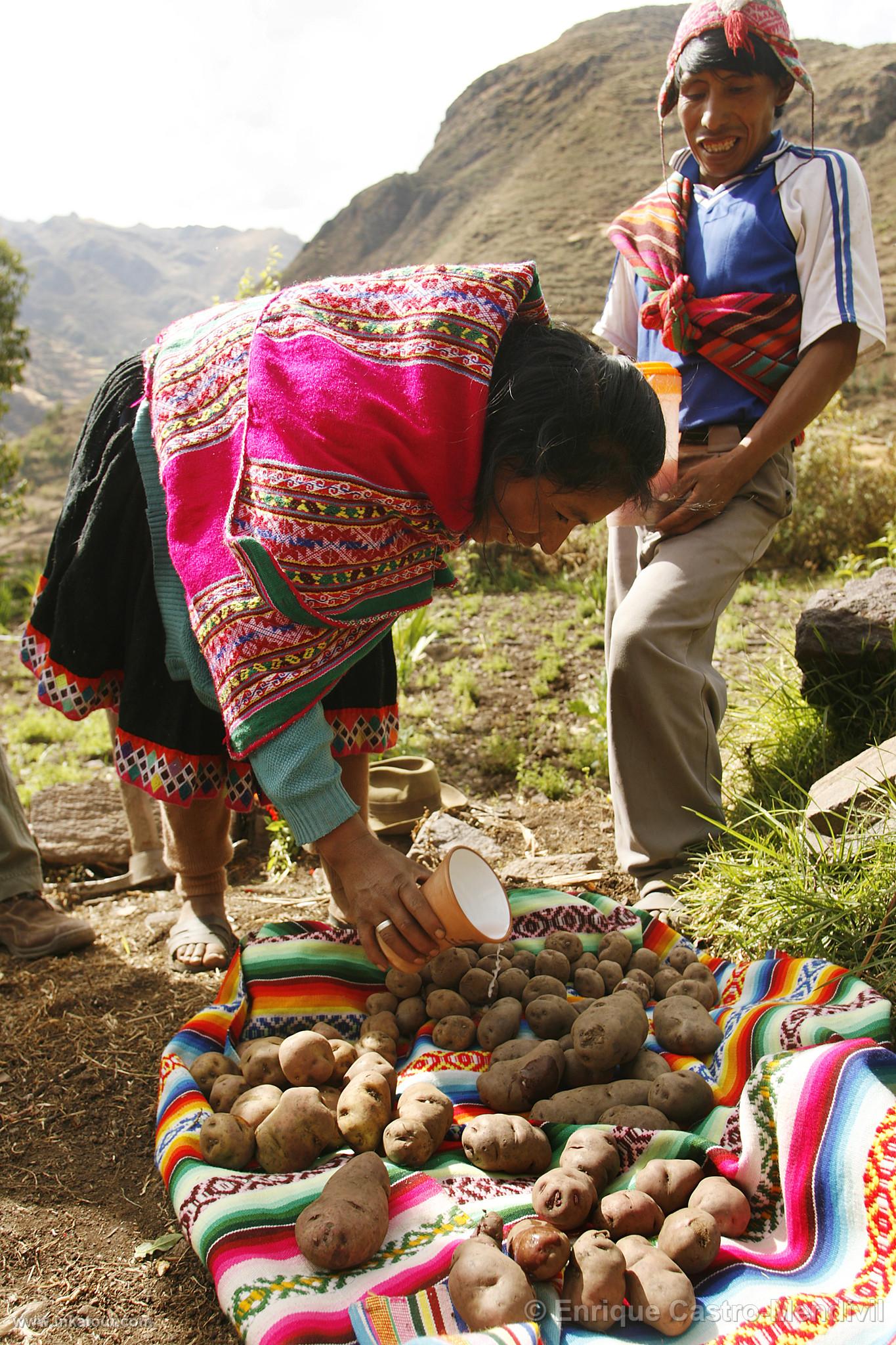 Photo of Peru