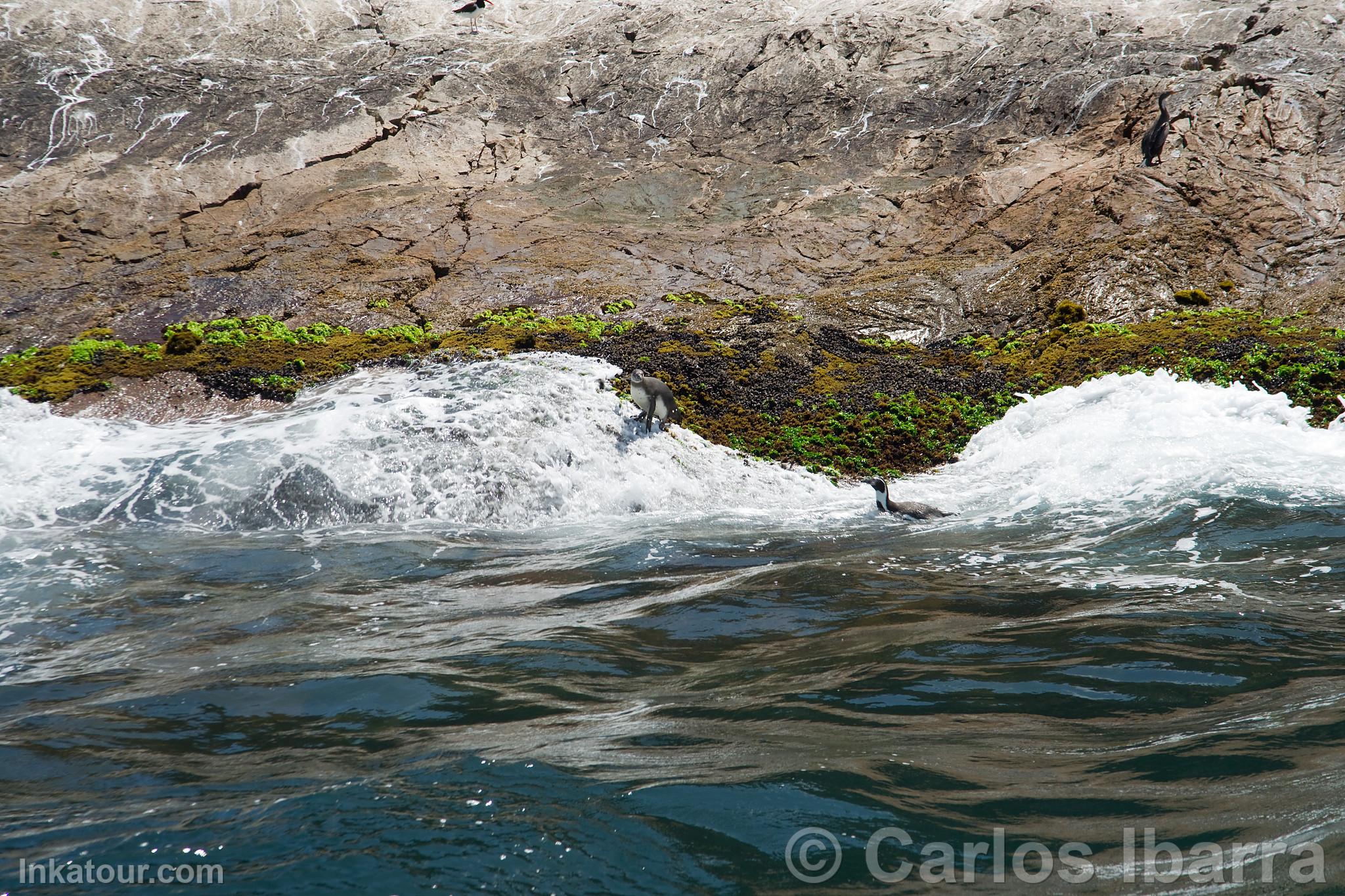 Photo of Peru