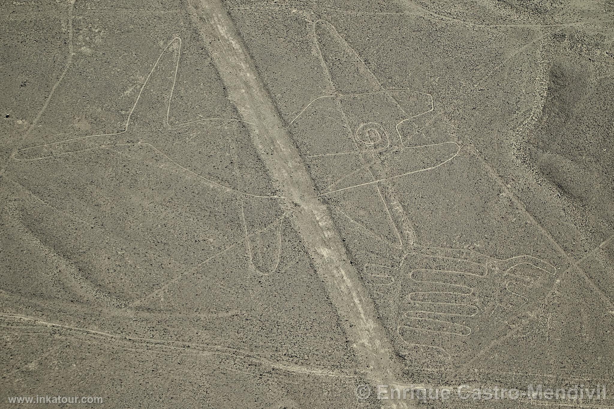 Nazca lines