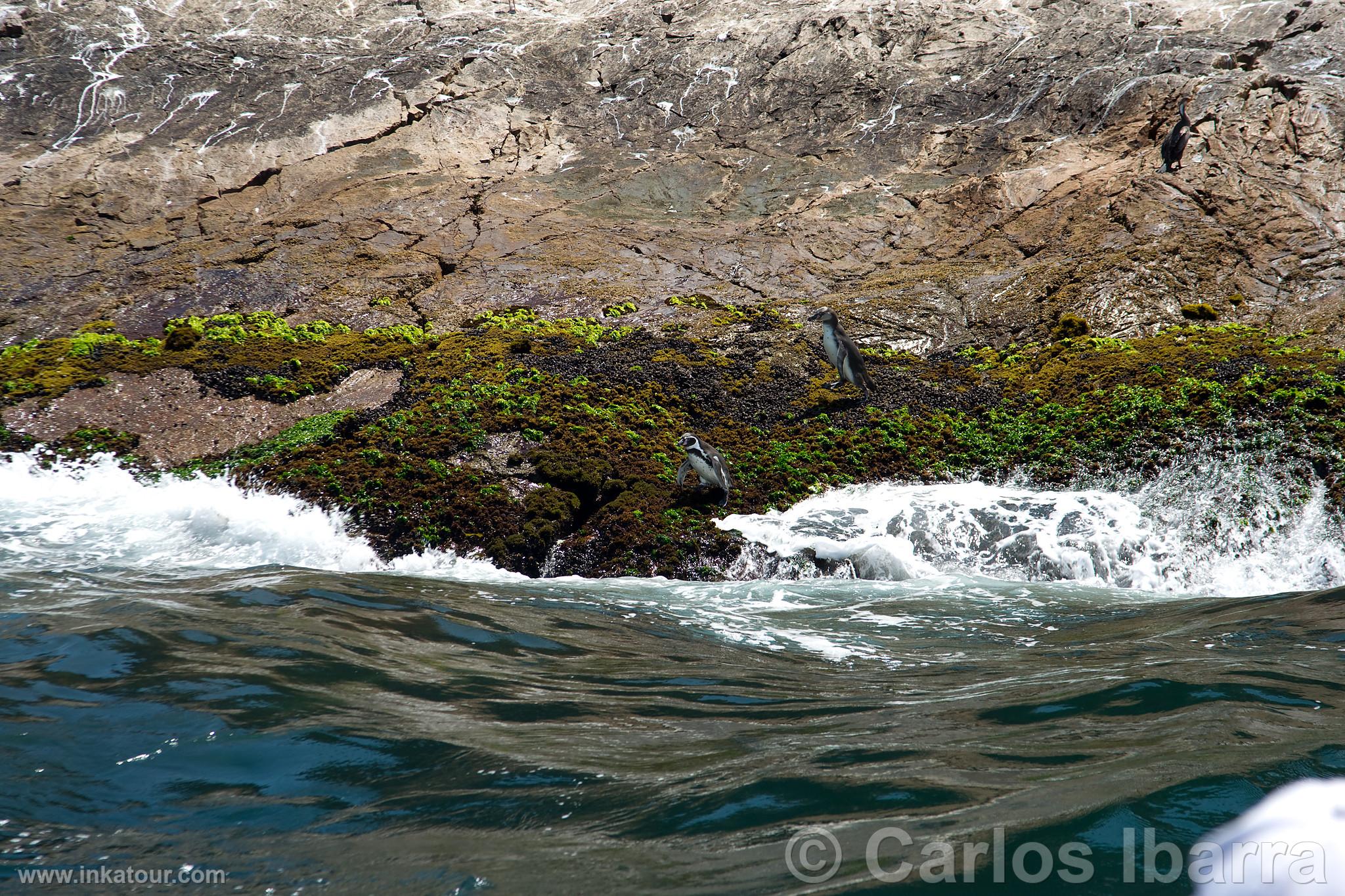 Photo of Peru