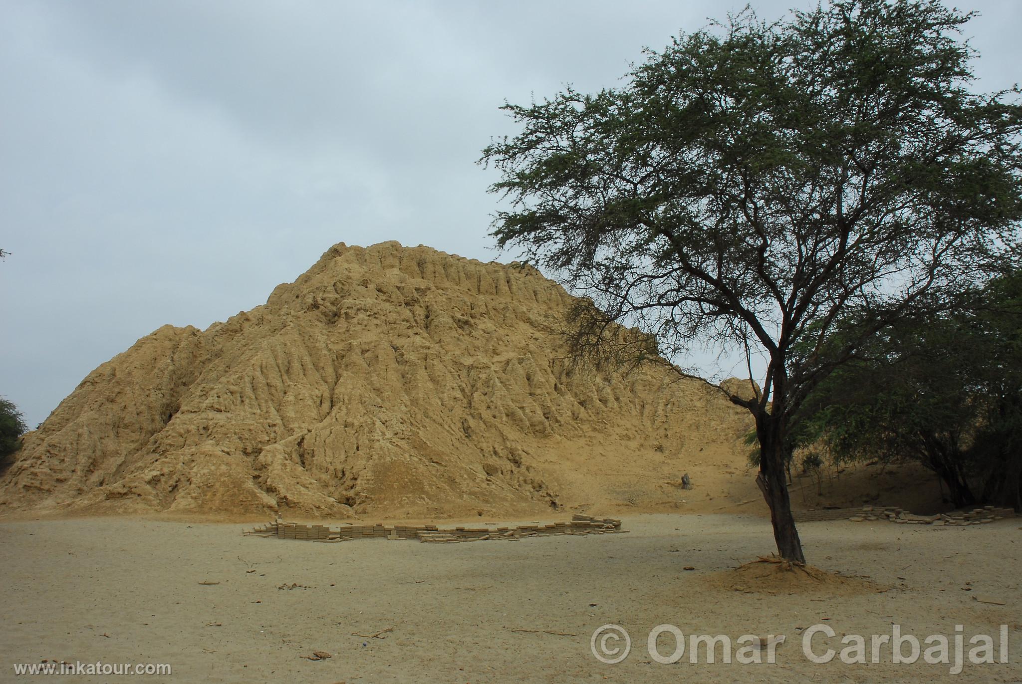 Photo of Peru