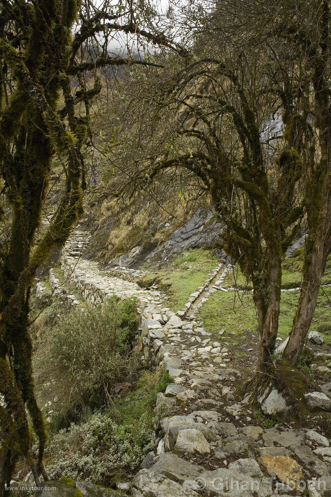 Trekking to Choquequirao