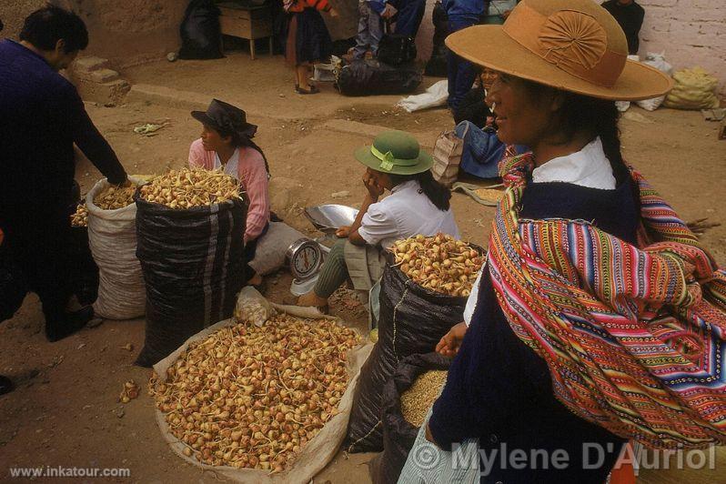 Photo of Peru