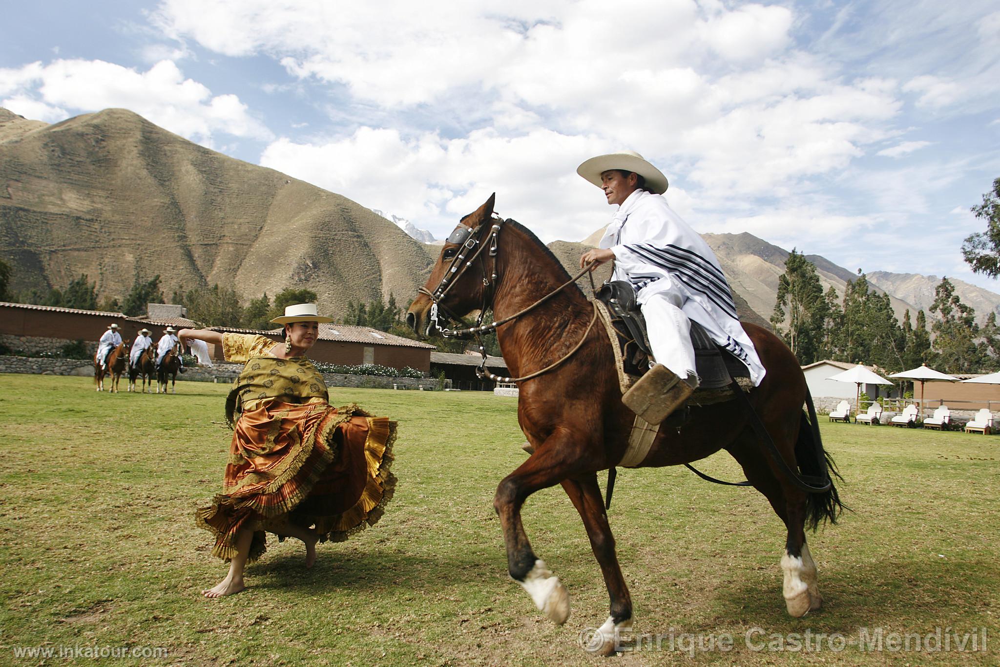 Marinera with Paso Horse