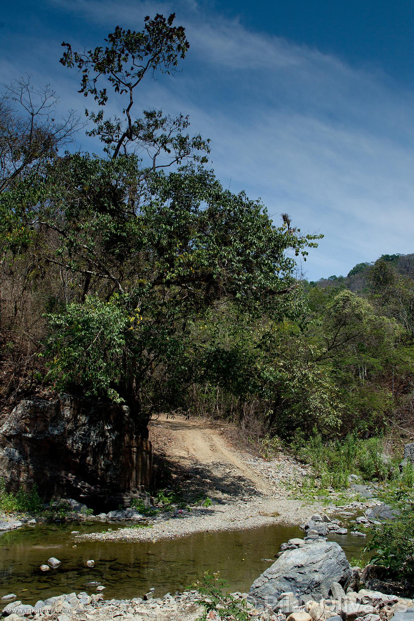 Photo of Peru