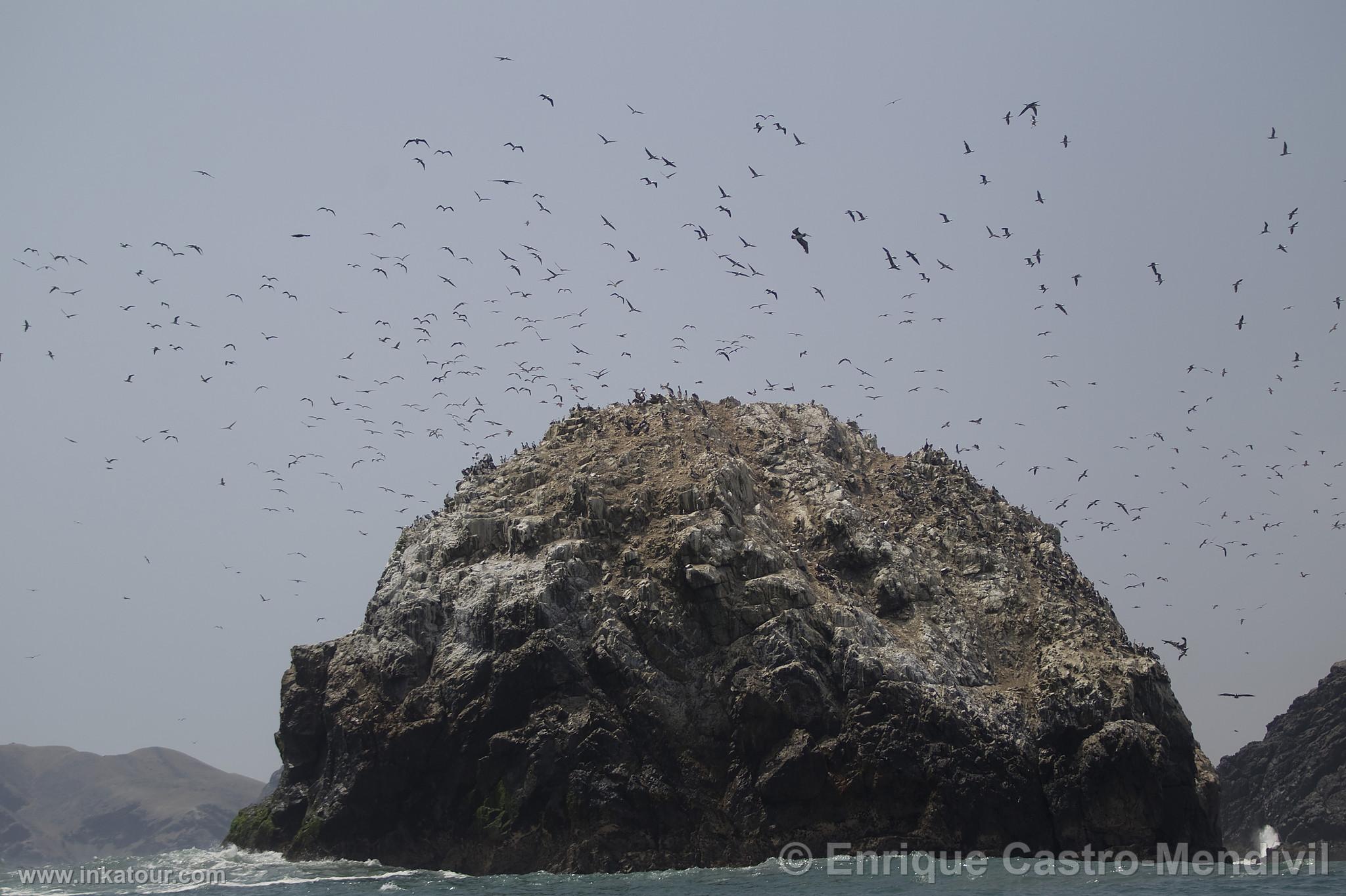 Photo of Peru