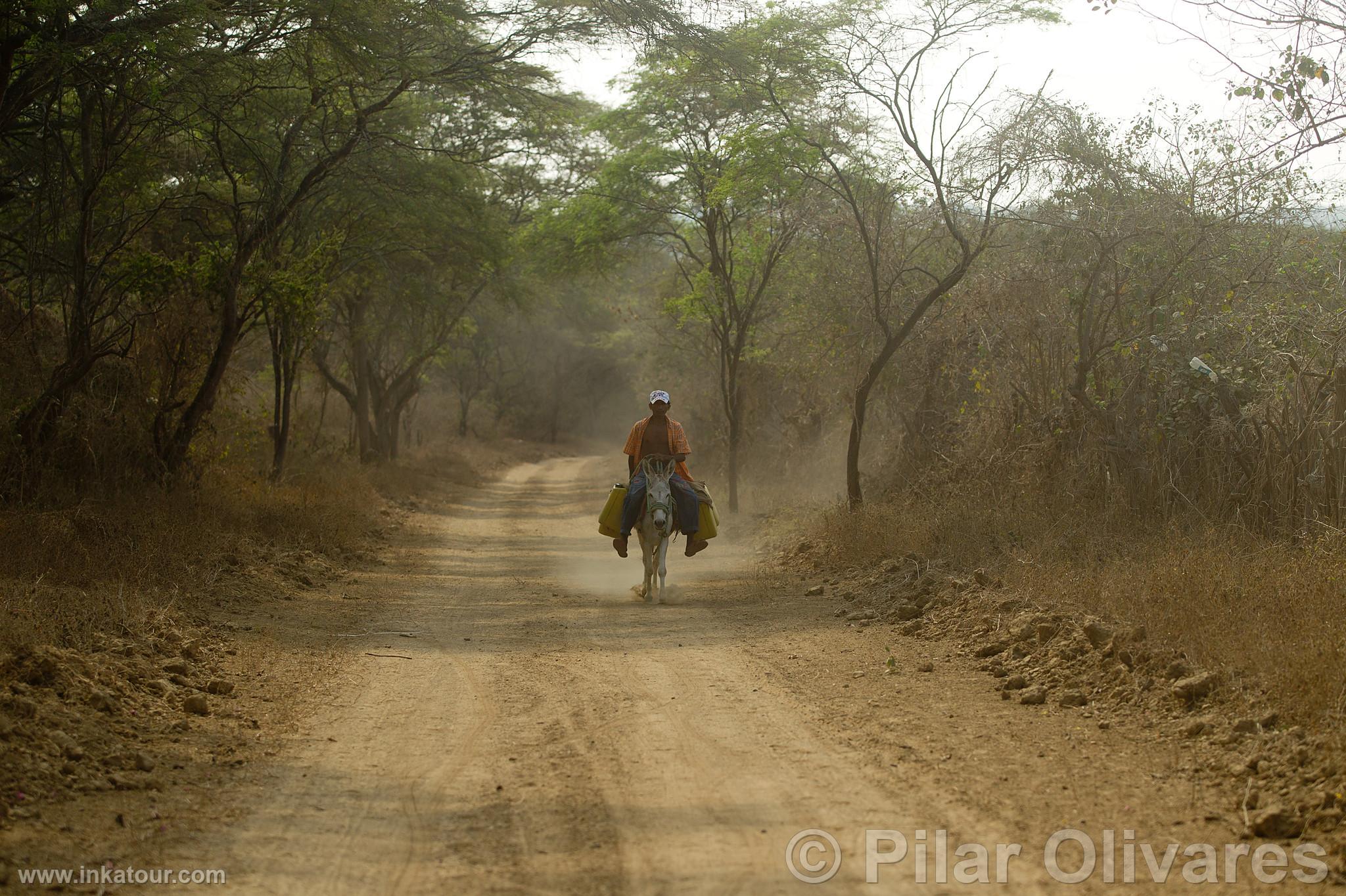 Photo of Peru