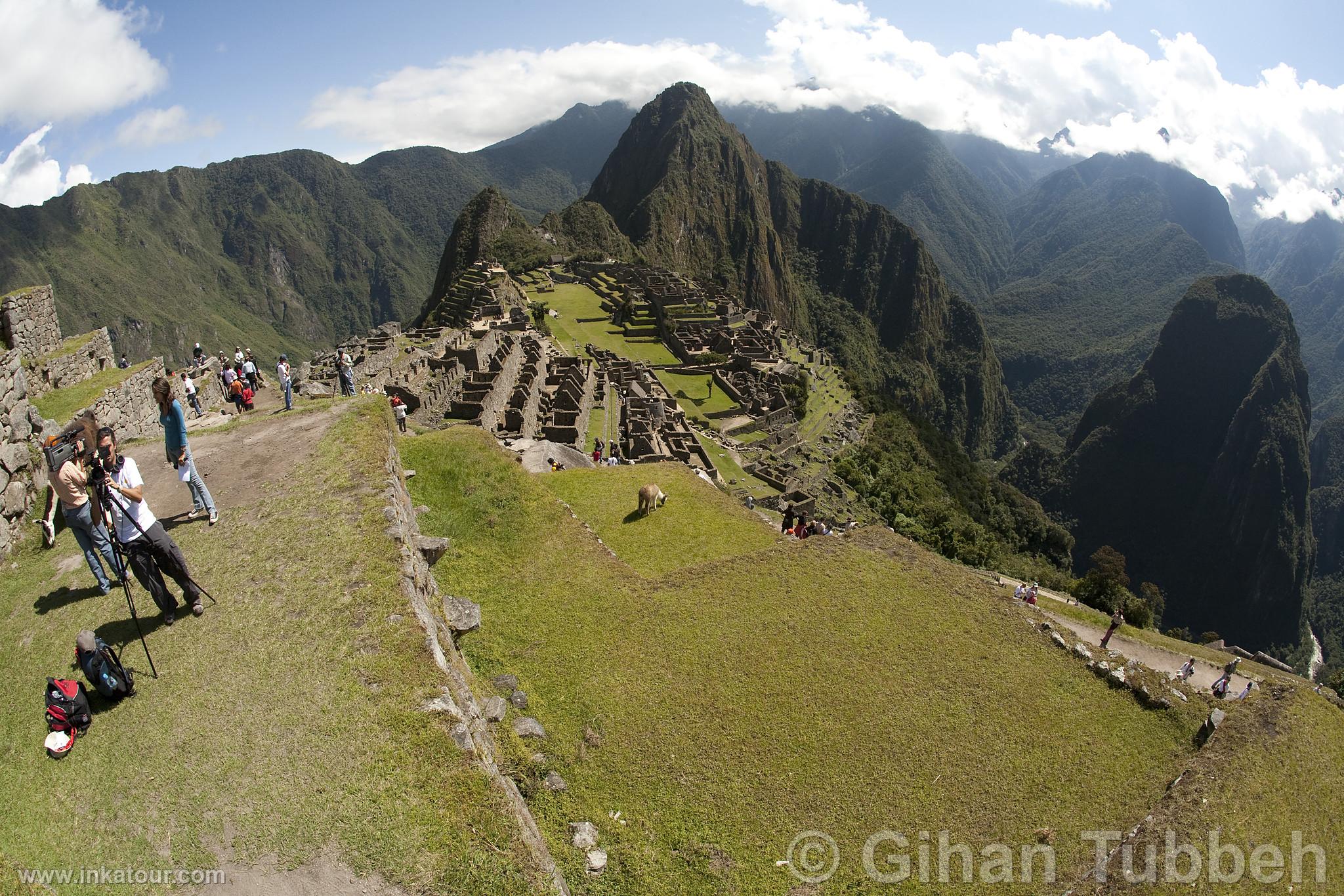 Citadel of Machu Picchu