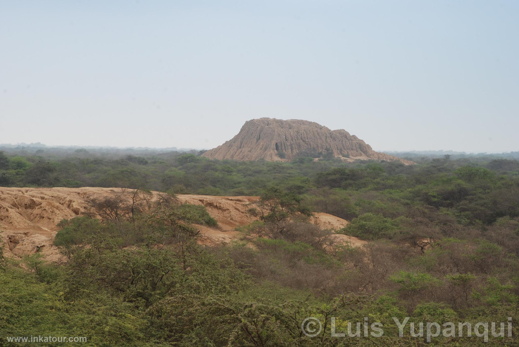 Photo of Peru