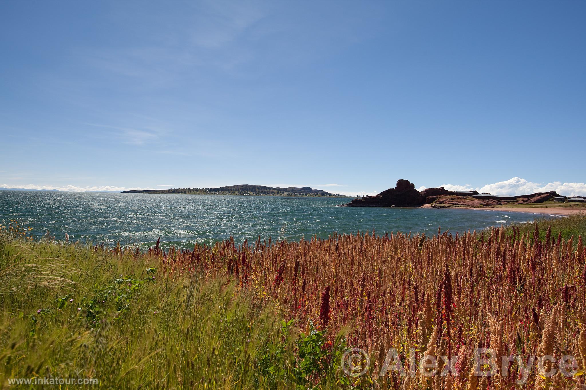 Titicaca Lake