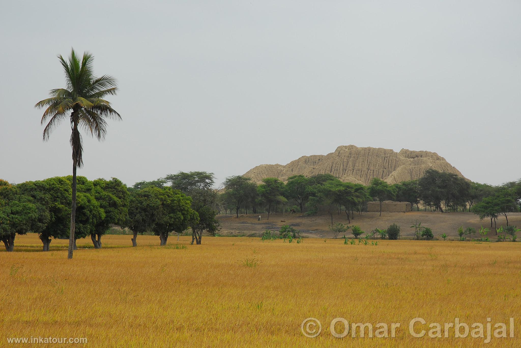 Valley of the Pyramids of Tcume