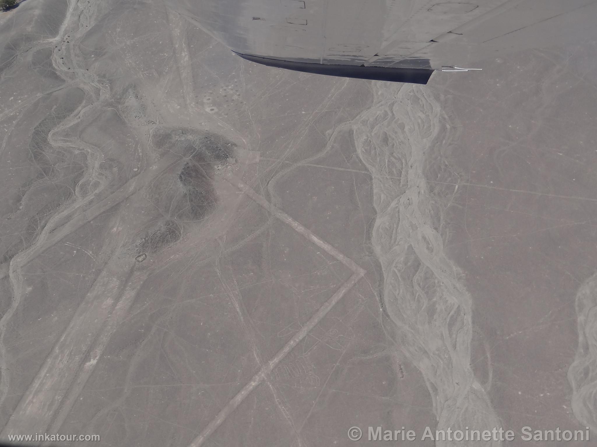 Nazca lines