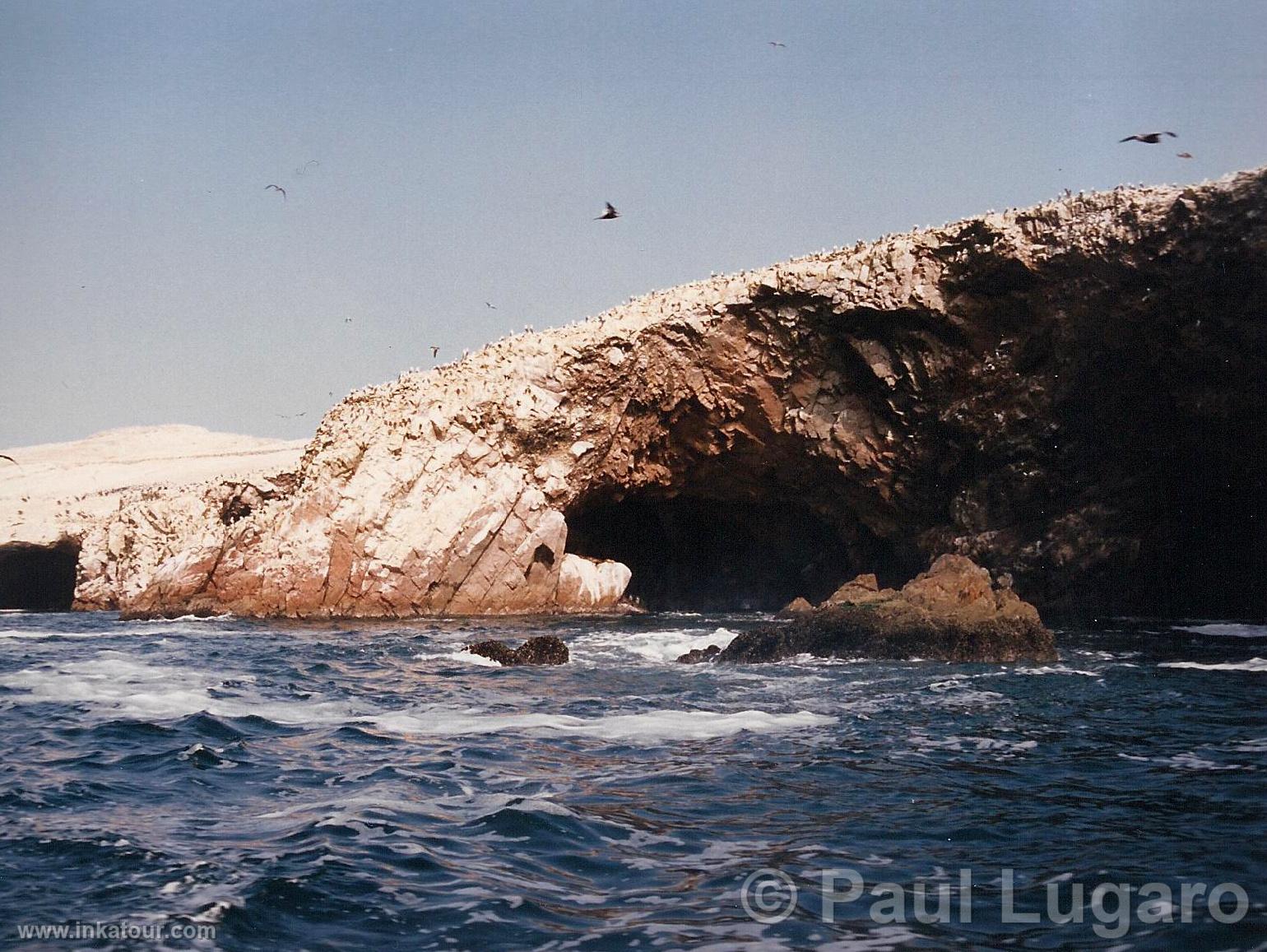 Ballestas, Paracas