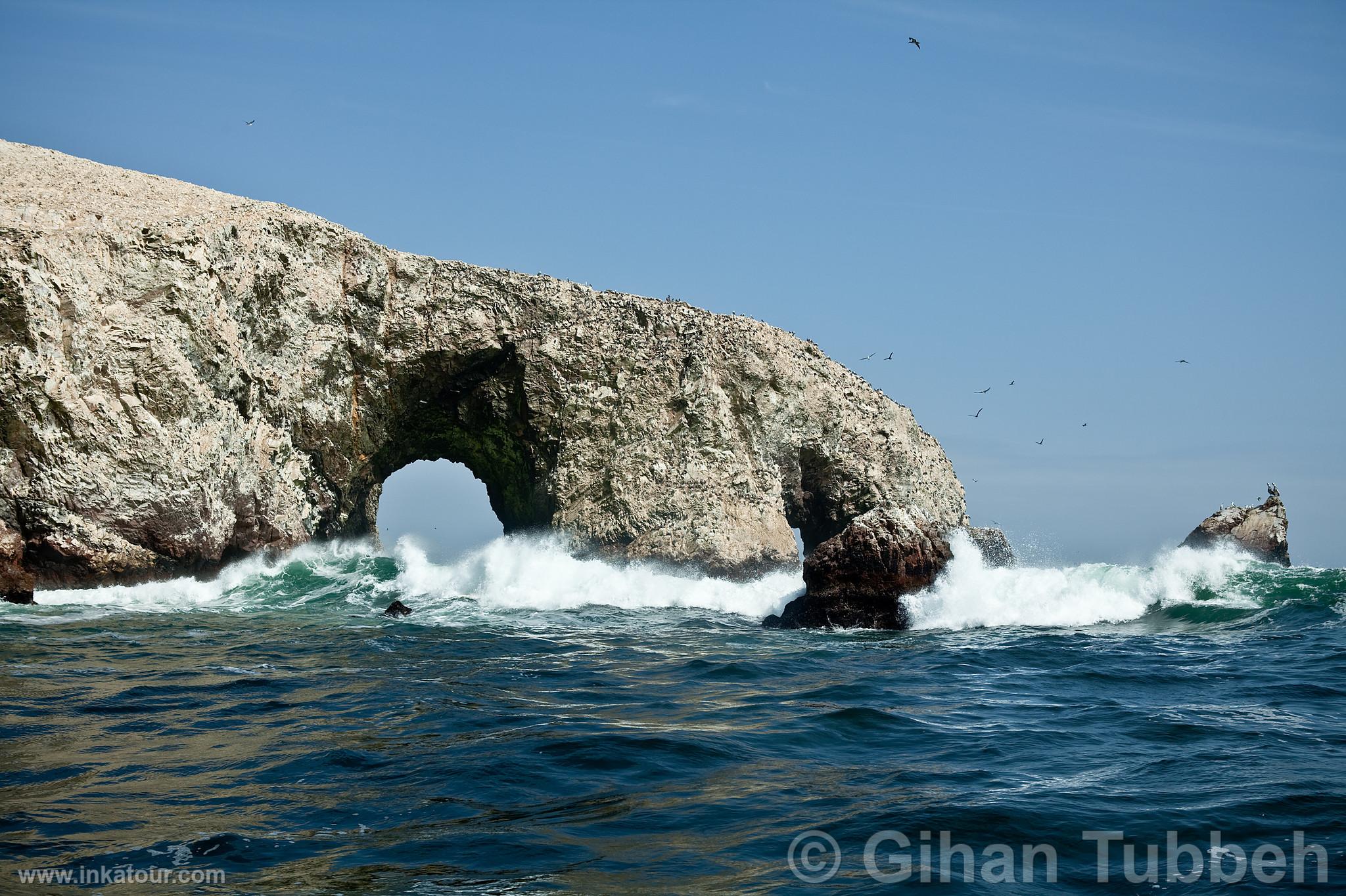 Ballestas, Paracas