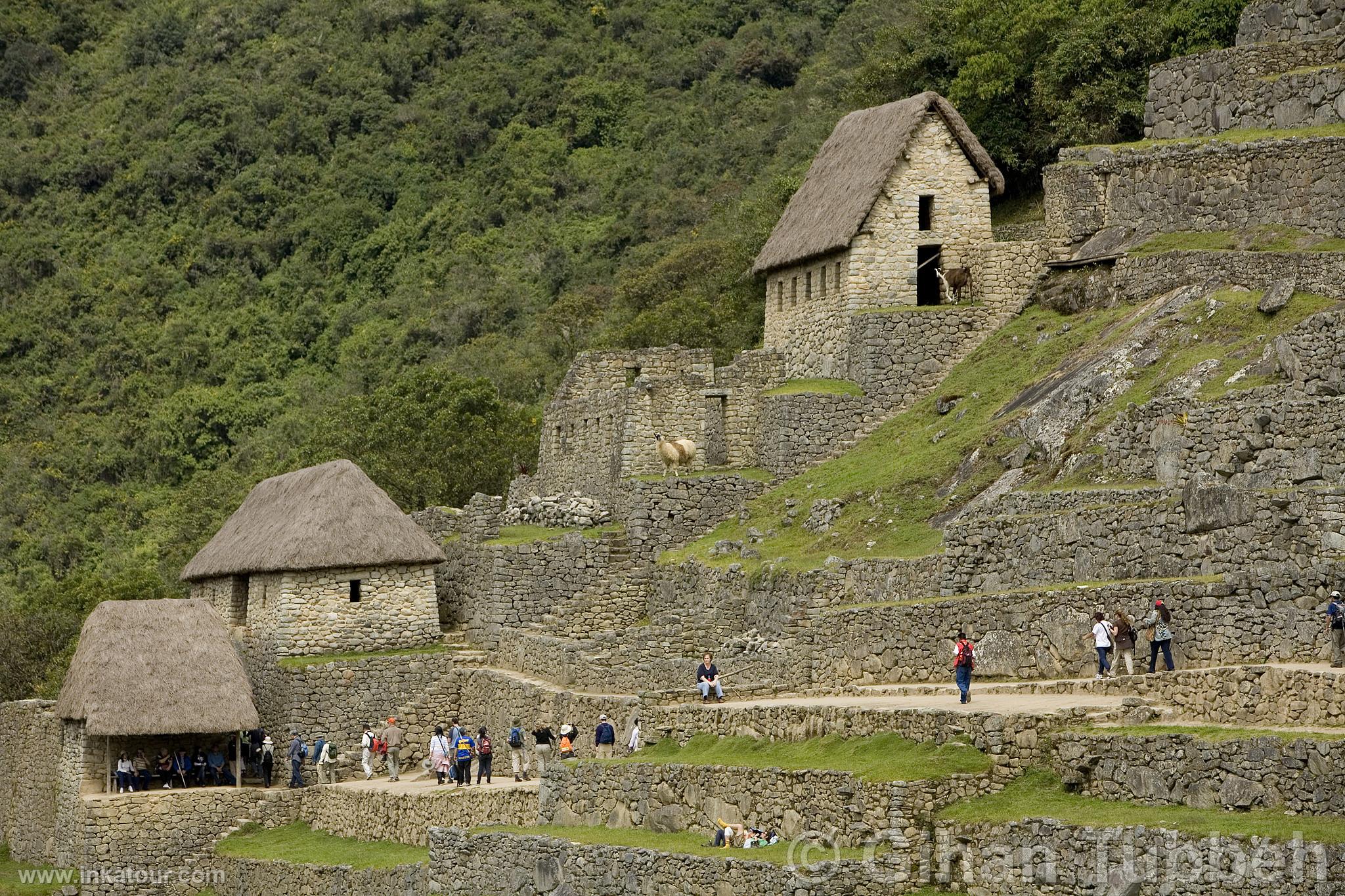 Citadel of Machu Picchu